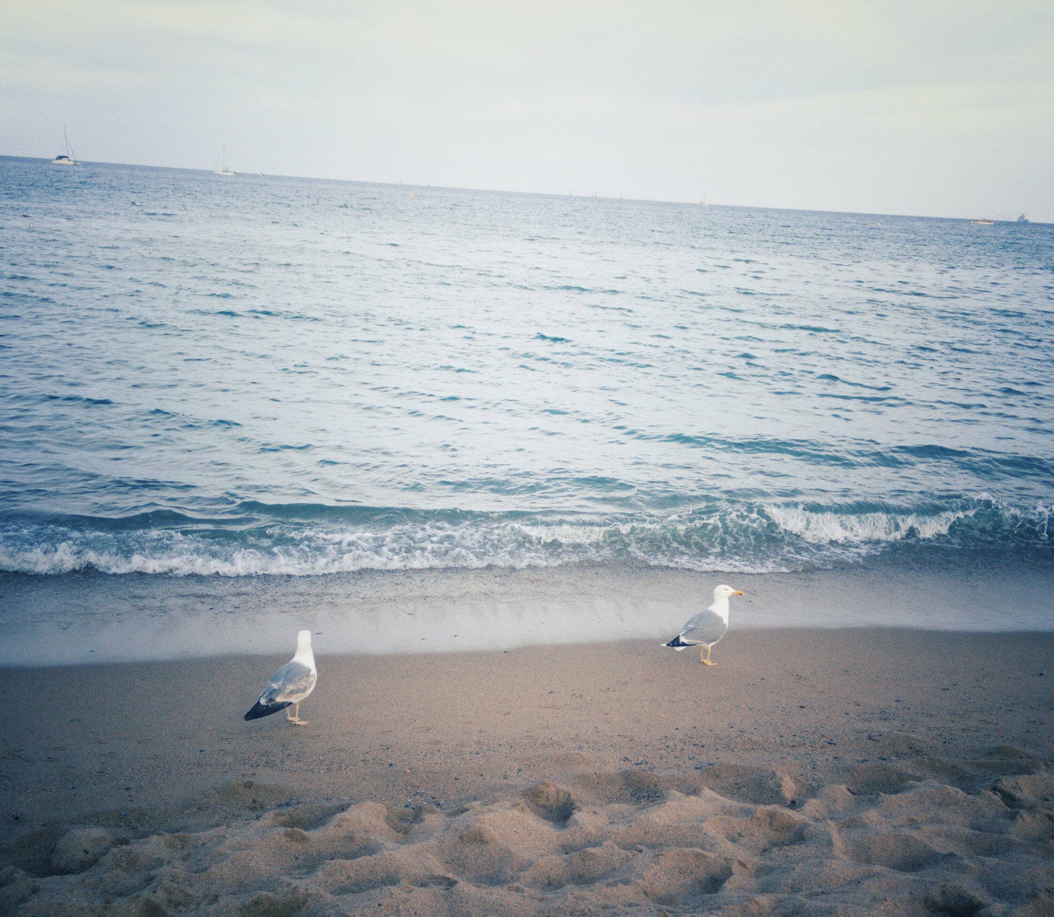 OnePlus One A0001 sample photo. In love with the sea photography