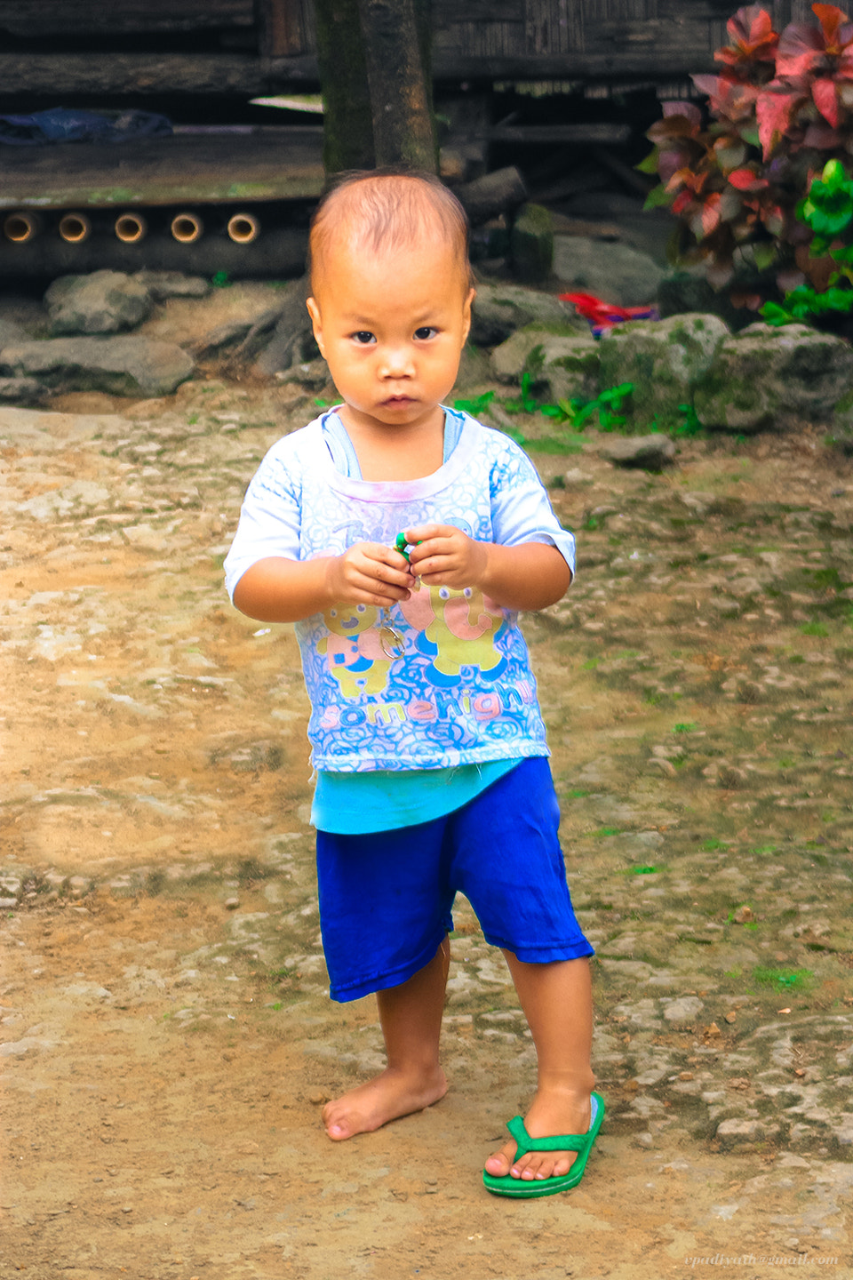Canon EF 28-80mm f/3.5-5.6 sample photo. The look photography