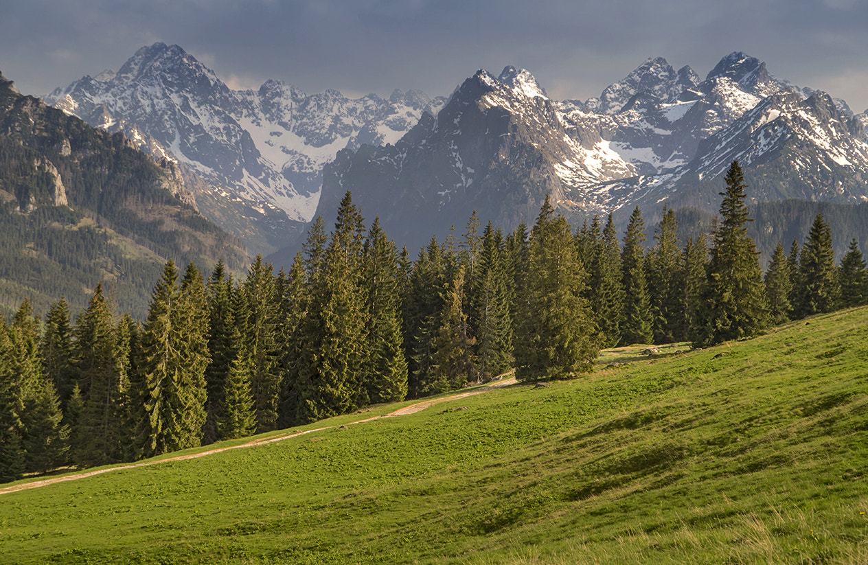 Sony SLT-A58 + Sigma 17-70mm F2.8-4.5 (D) sample photo. Tatry photography