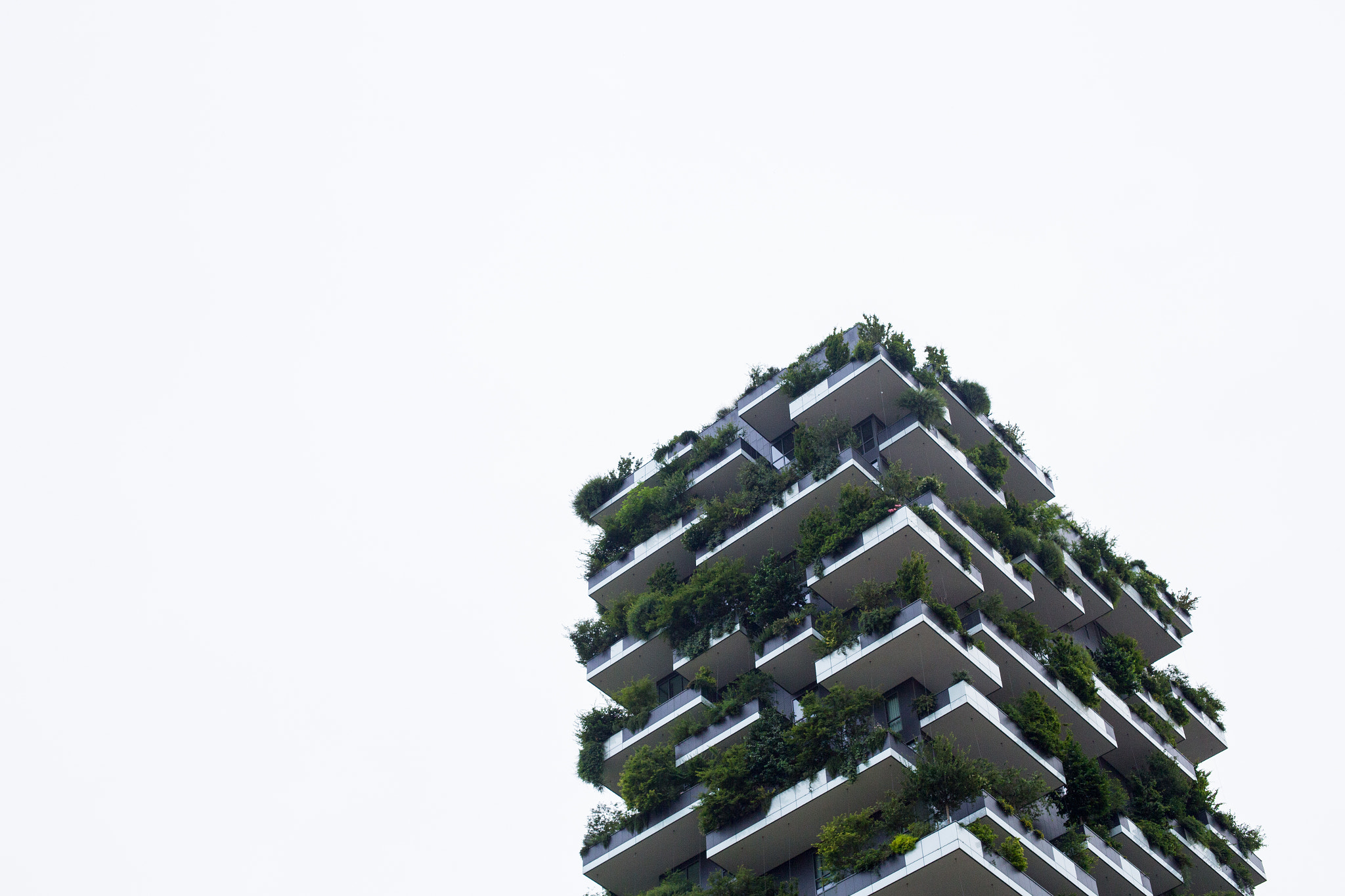 Canon EOS 6D + Canon EF 50mm F1.4 USM sample photo. Milano, bosco verticale photography