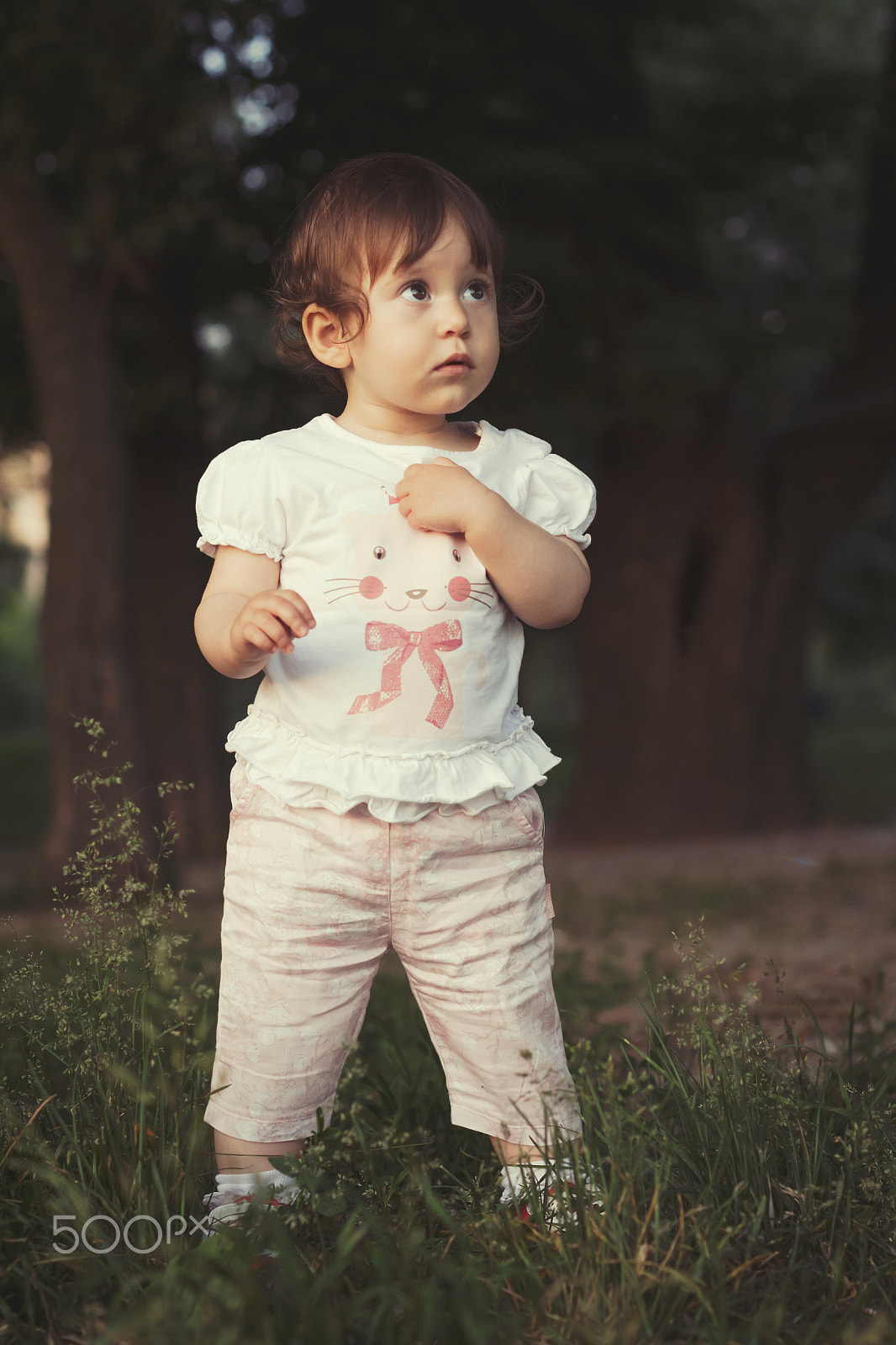 Canon EF 50mm F1.4 USM sample photo. *** photography