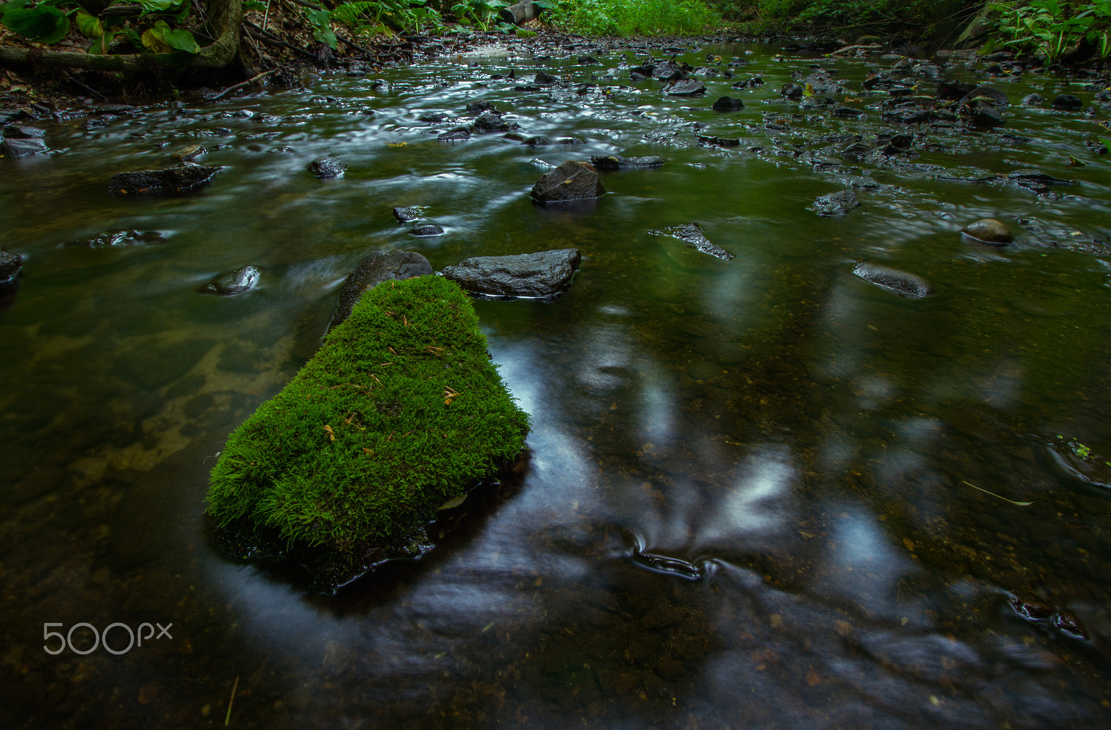 Canon EF-S 10-18mm F4.5–5.6 IS STM sample photo