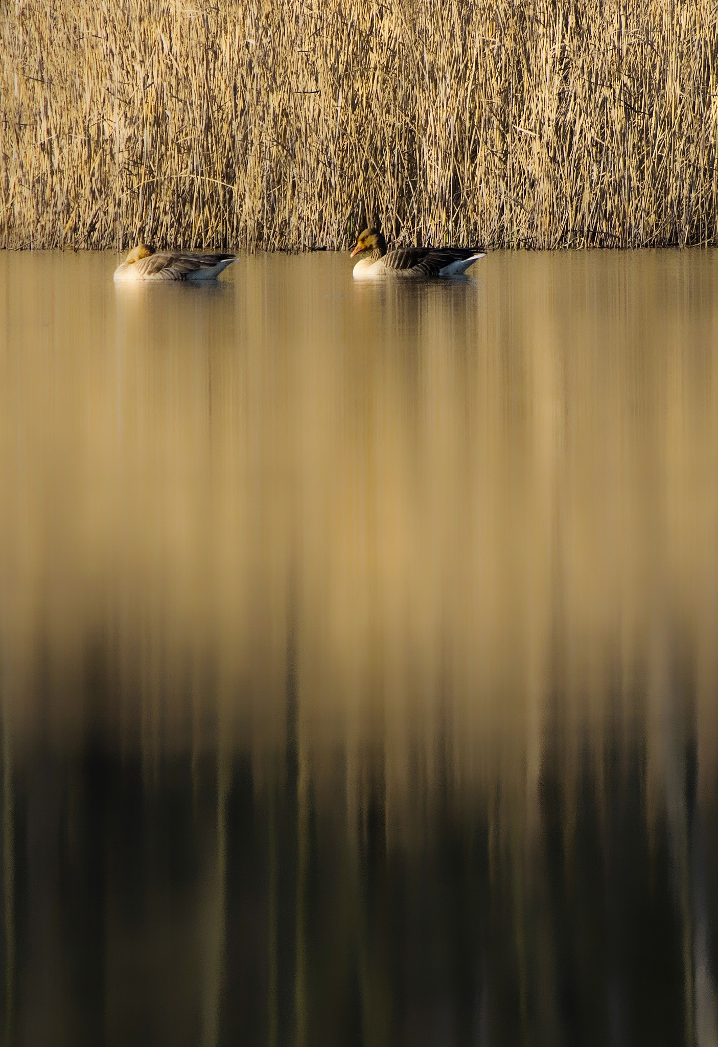 Pentax smc DA 55-300mm F4.0-5.8 ED sample photo. Nad jeziorem photography