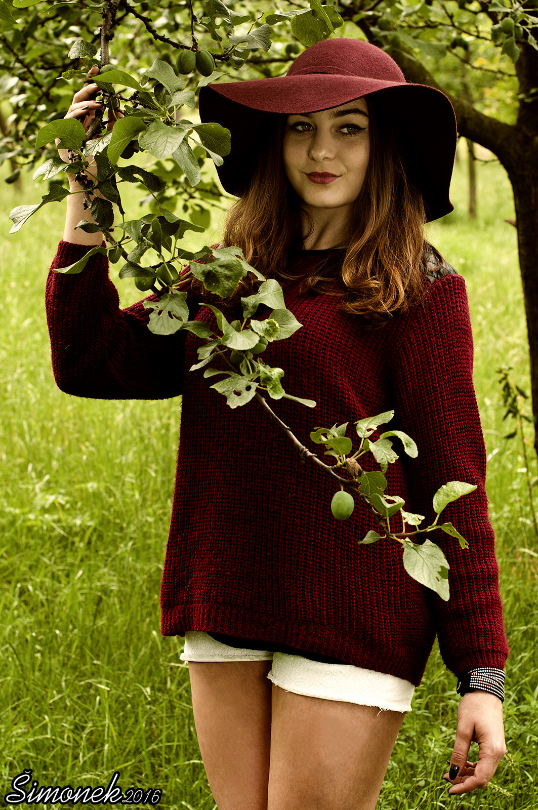 Nikon D300 + Nikon AF-S Nikkor 50mm F1.4G sample photo. Purple princess in nature photography
