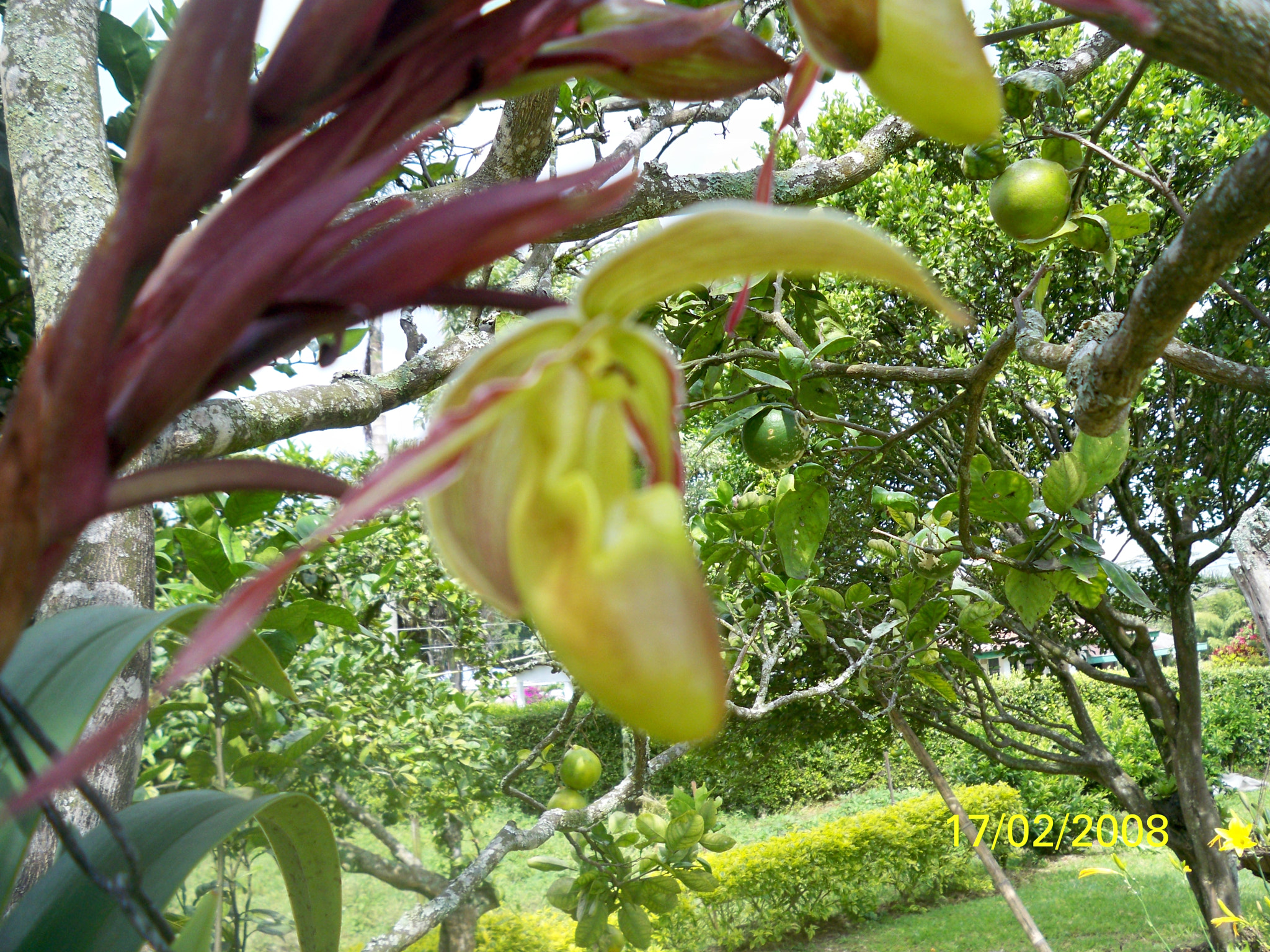 Kodak EASYSHARE M1093 IS DIGITAL CAMERA sample photo