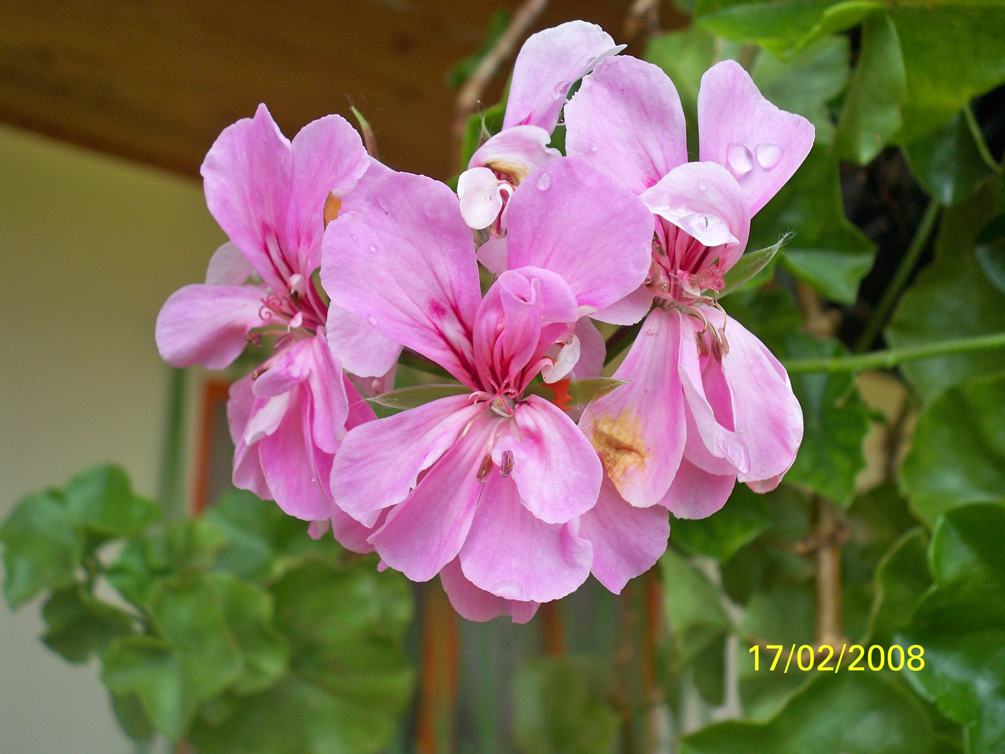 Kodak EASYSHARE M1093 IS DIGITAL CAMERA sample photo