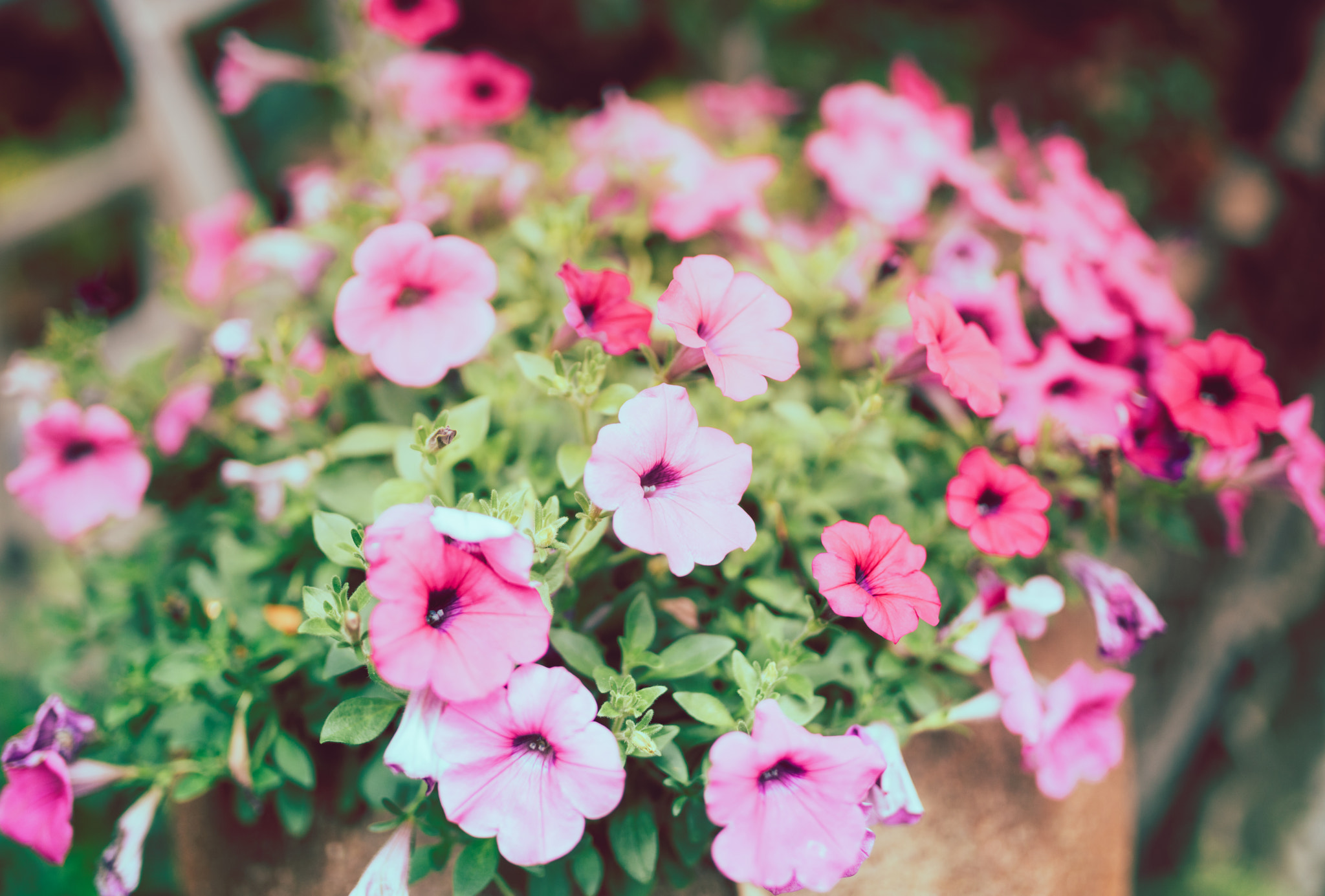 Sigma 35mm F1.4 DG HSM Art sample photo