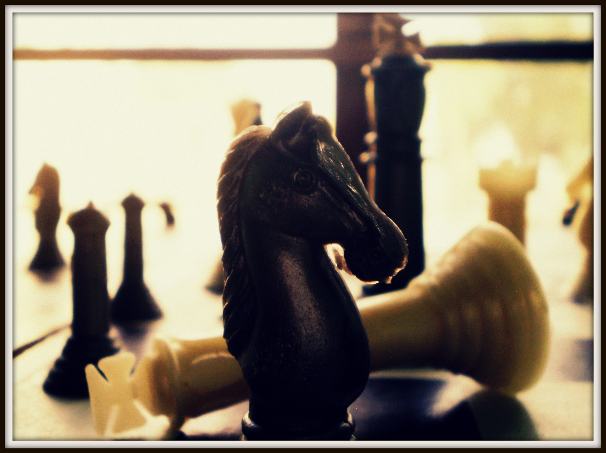 Olympus FE270,X815,C510 sample photo. Victory at times is unpredictable photography