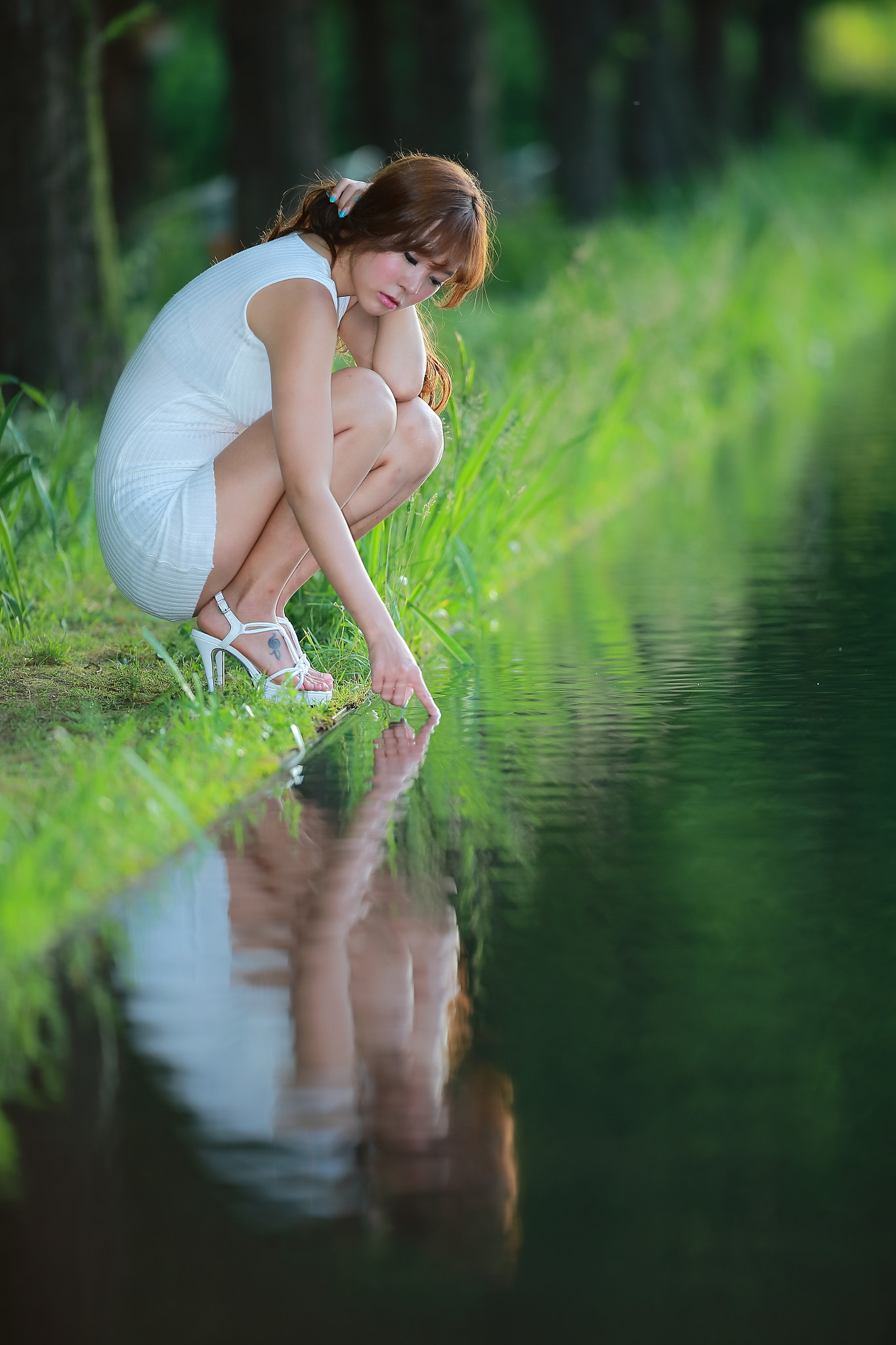 Canon EOS-1D X + Canon EF 200mm F2L IS USM sample photo. Repost photography