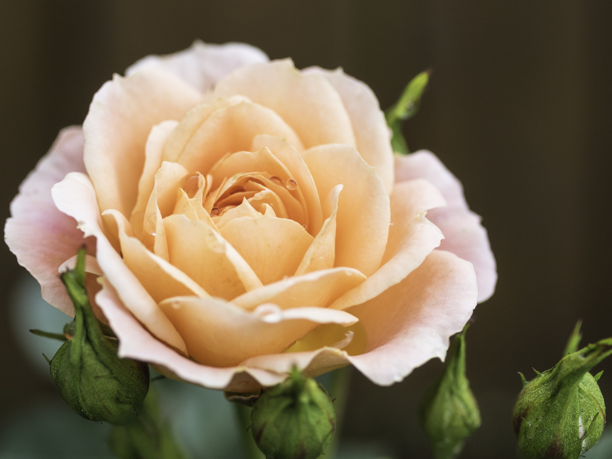 Canon EOS M3 sample photo