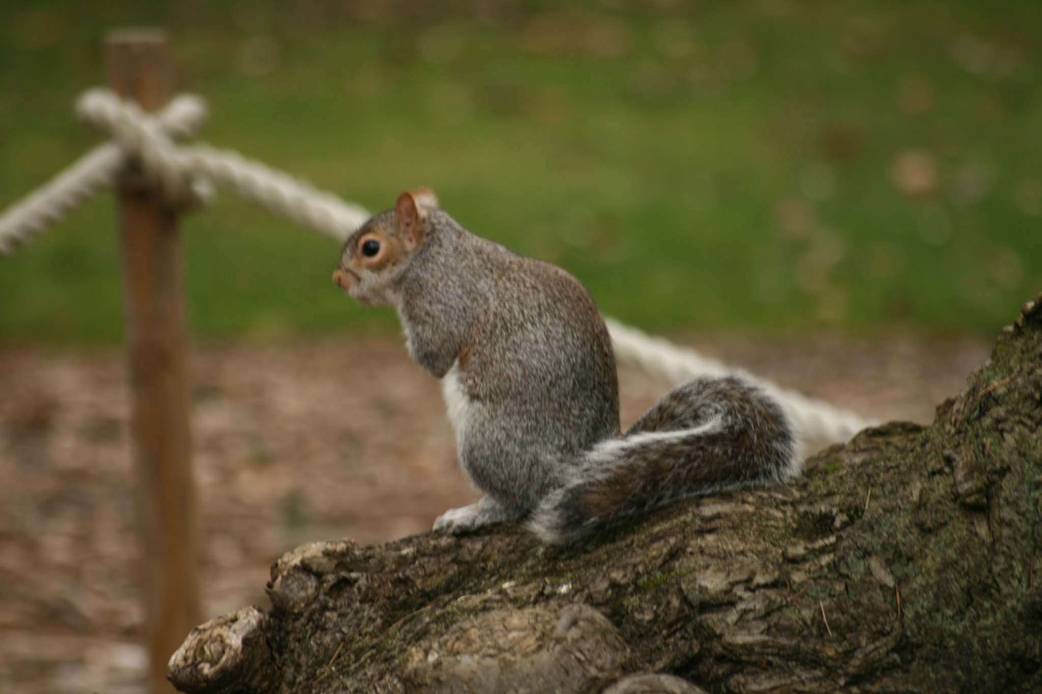 Sigma 55-200mm f/4-5.6 DC sample photo