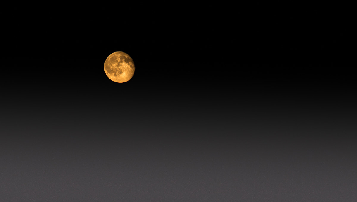 Pentax K-3 II sample photo. Strawberrymoon photography