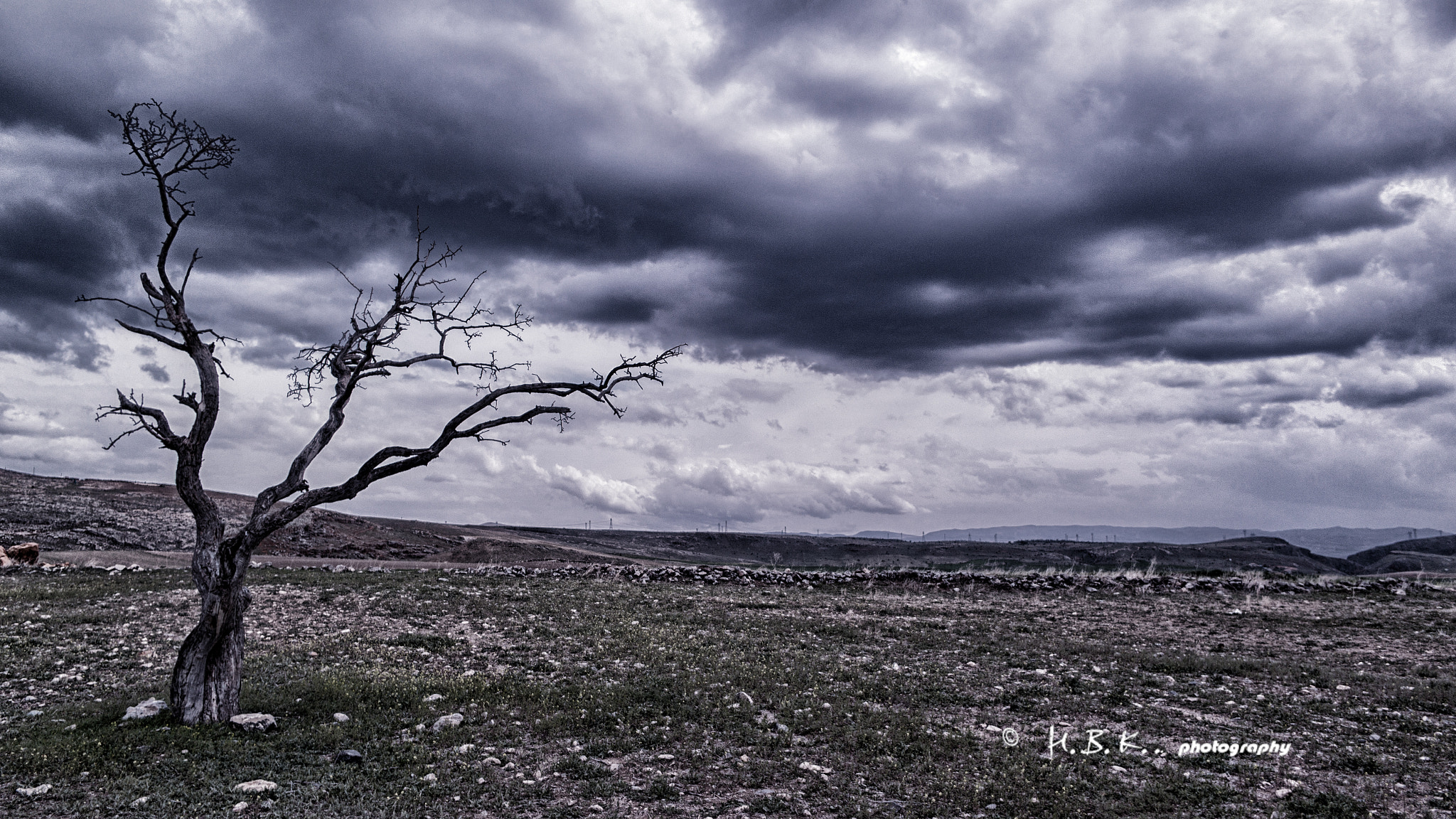 Samsung NX 16mm F2.4 Pancake sample photo. Dead and alone... photography