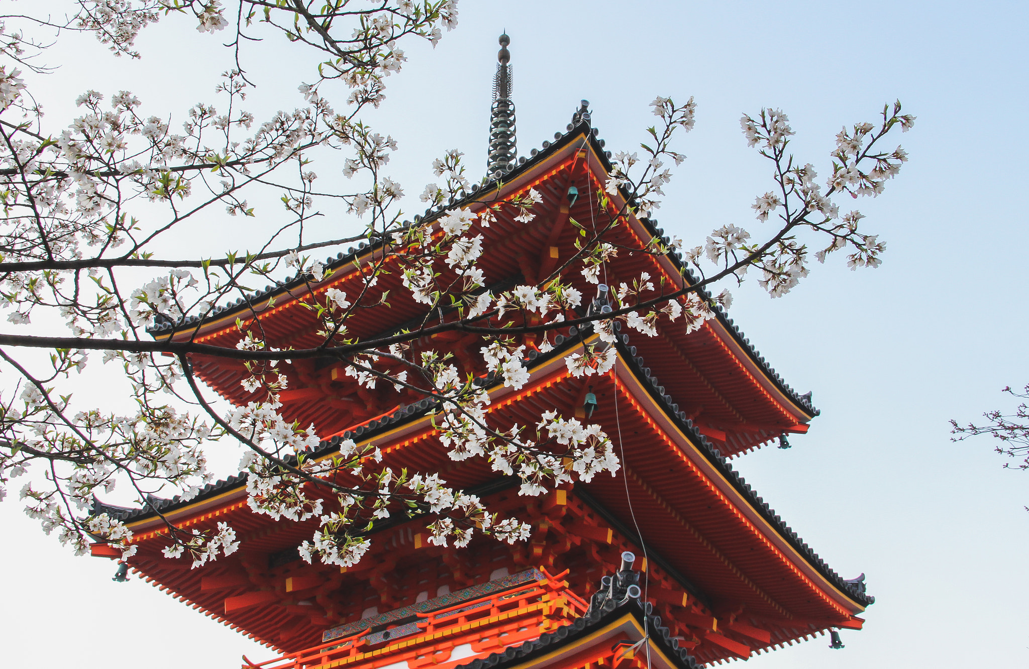 Canon EOS 650D (EOS Rebel T4i / EOS Kiss X6i) sample photo. Sakura & pagoda photography