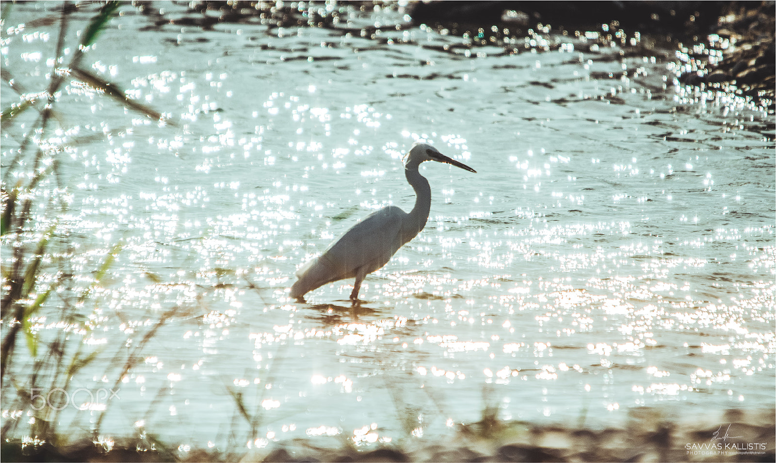 Sigma 120-400mm F4.5-5.6 DG OS HSM sample photo