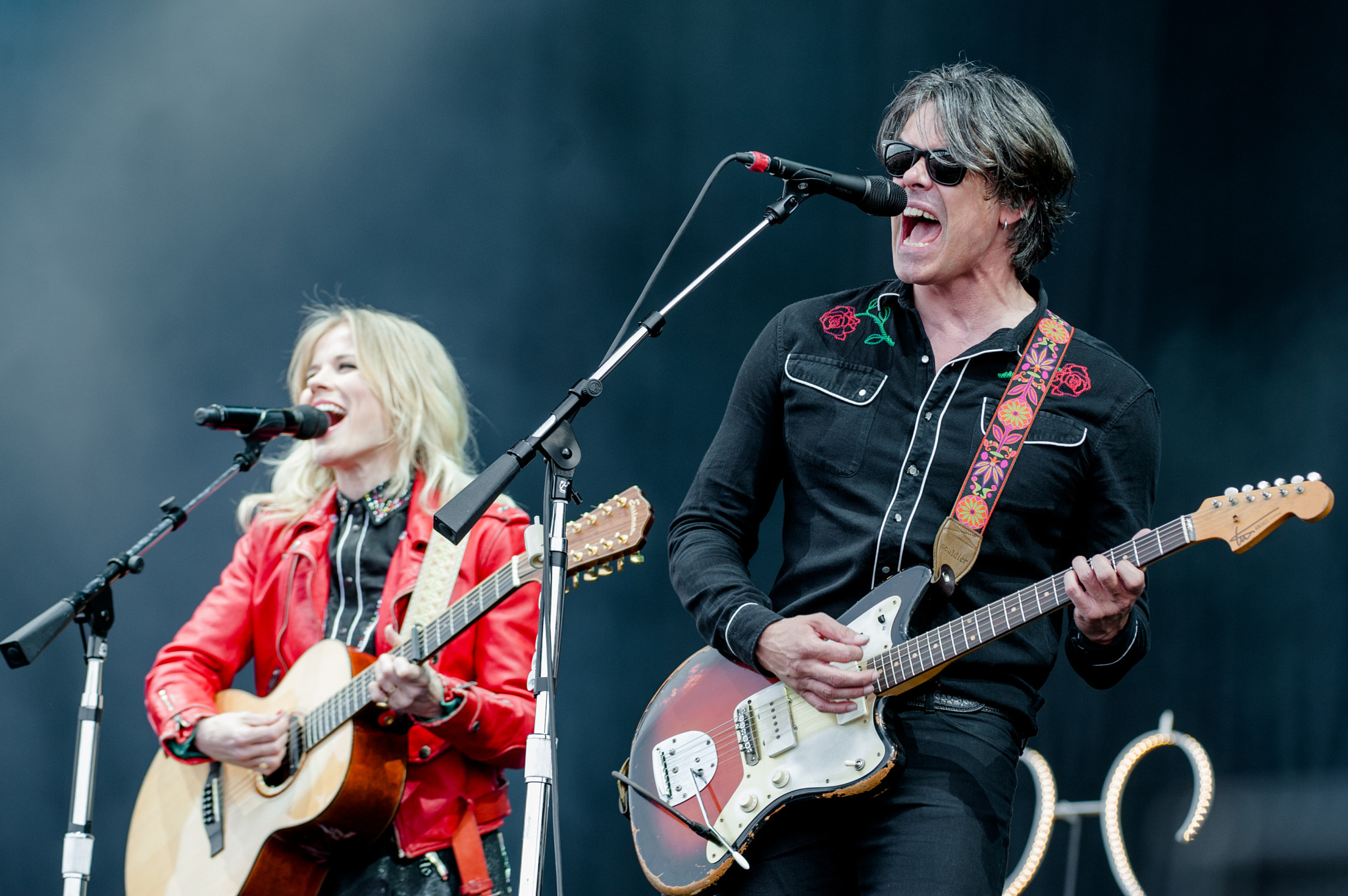 Nikon AF-S Nikkor 200-400mm F4G ED-IF VR sample photo. The common linnets pinkpop photography