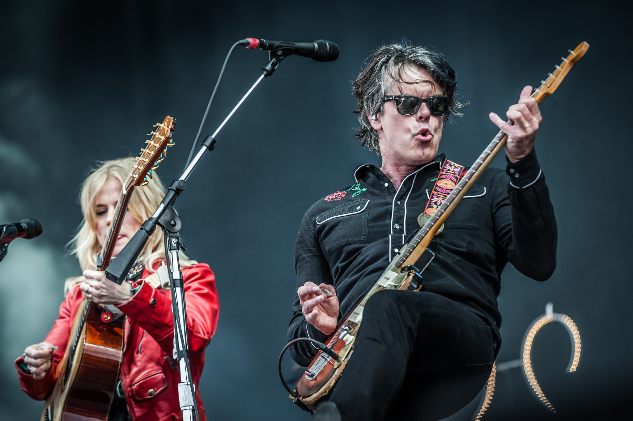 Nikon AF-S Nikkor 200-400mm F4G ED-IF VR sample photo. The common linnets pinkpop photography
