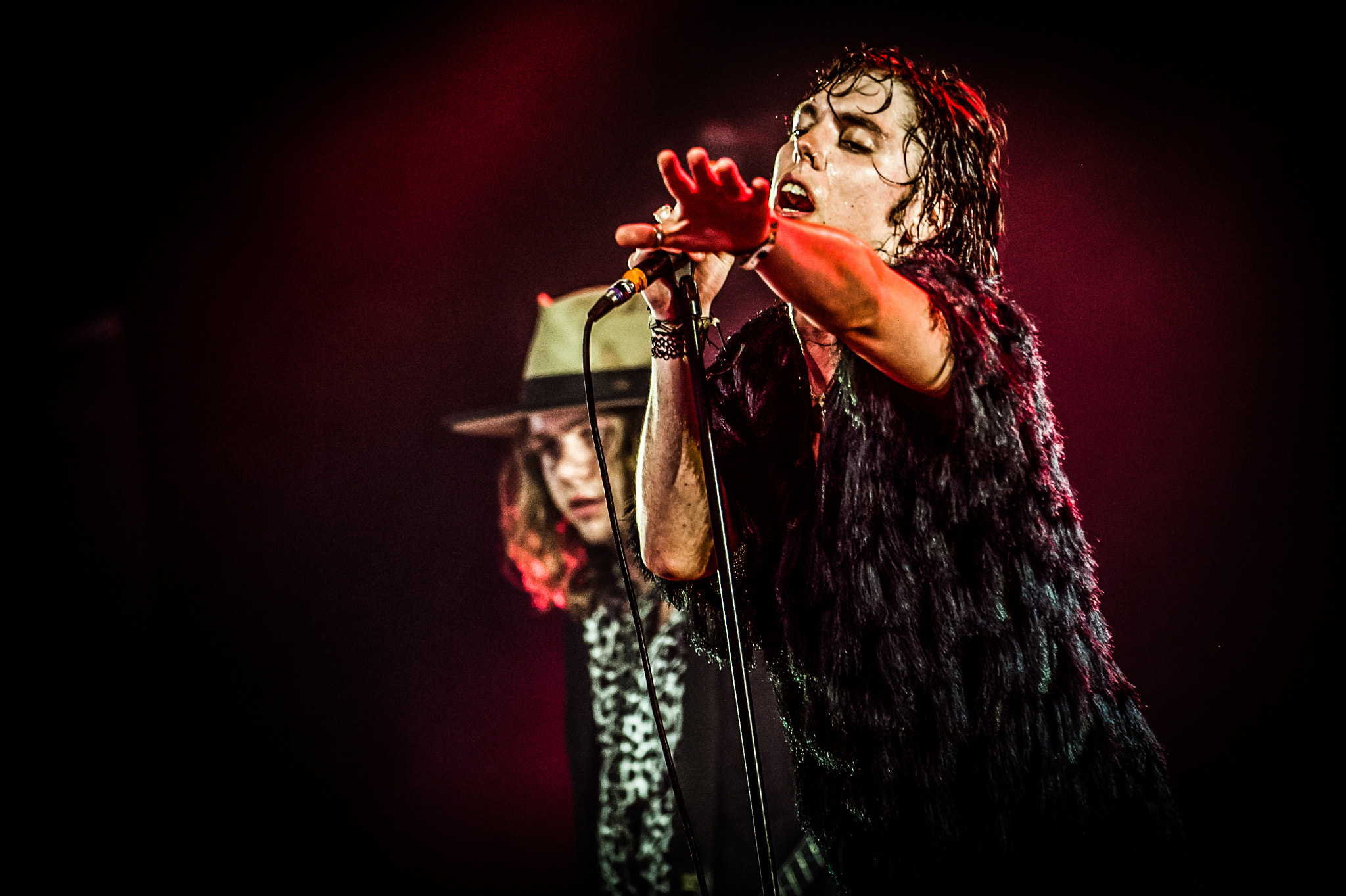 Nikon AF-S Nikkor 200-400mm F4G ED-IF VR sample photo. The struts pinkpop photography