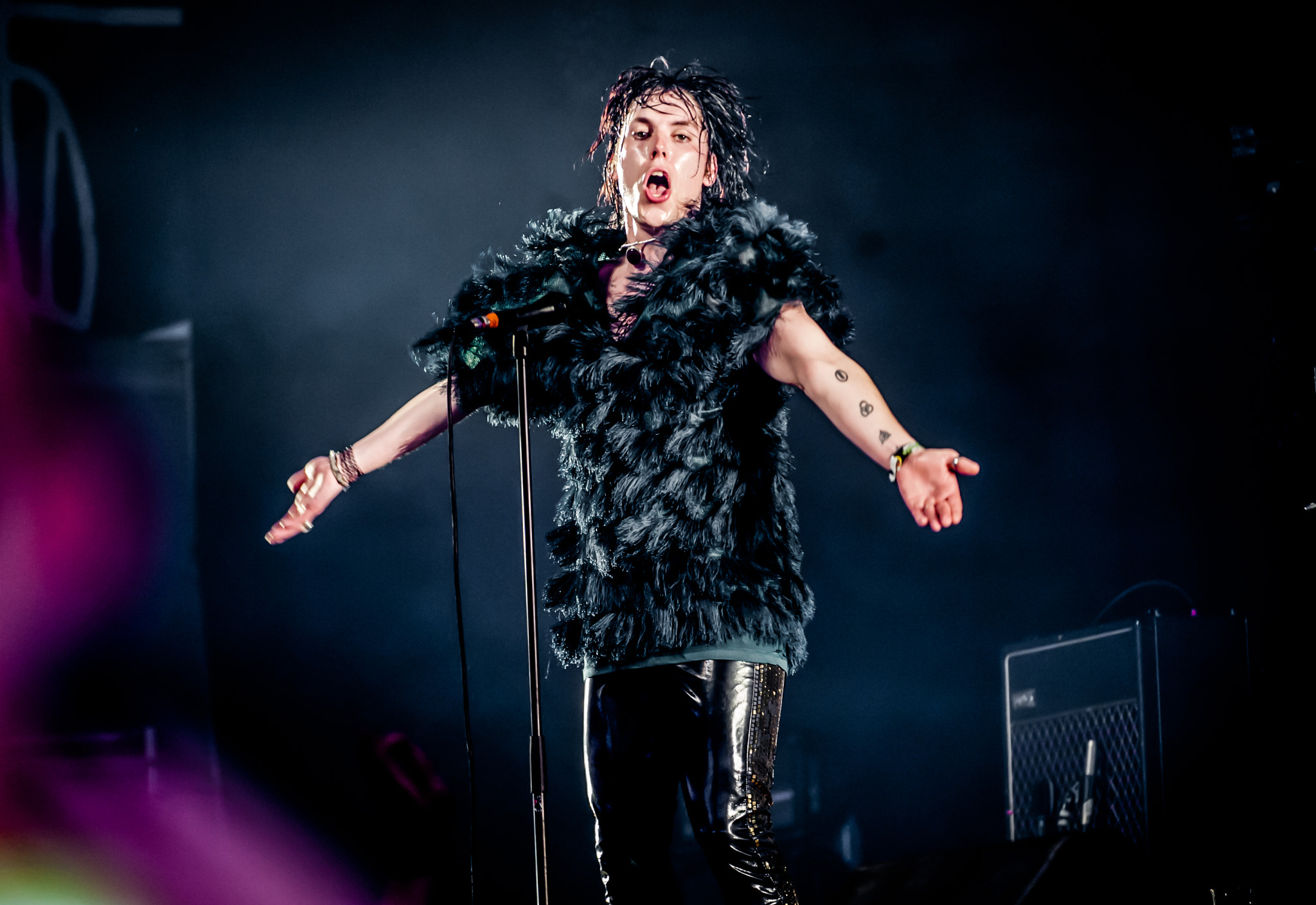 Nikon AF-S Nikkor 200-400mm F4G ED-IF VR sample photo. The struts pinkpop photography