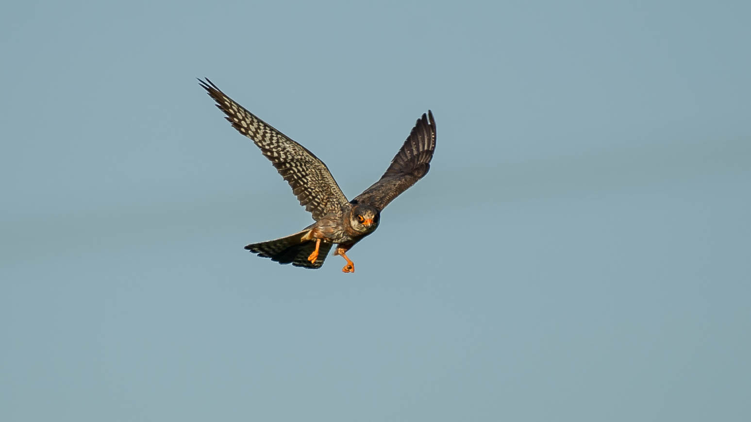 Nikon D3S sample photo. 27701424136.jpg photography