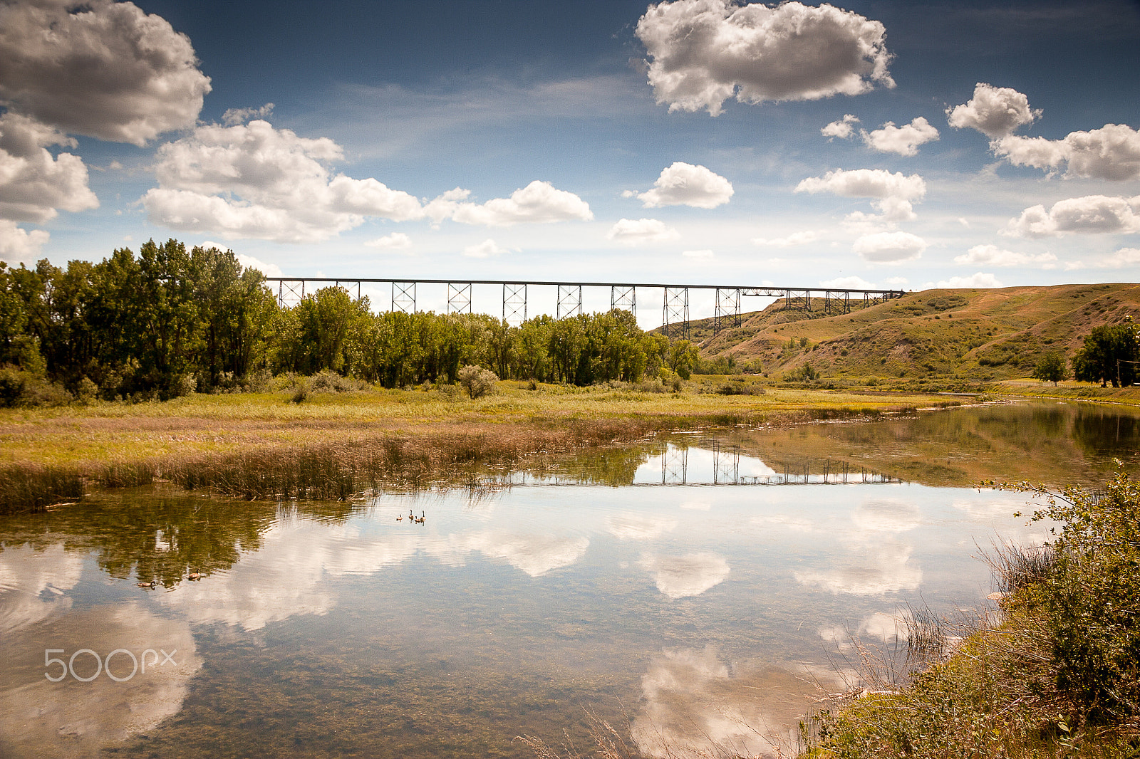 Canon EOS 450D (EOS Rebel XSi / EOS Kiss X2) sample photo. Reflections of the lethbridge train bridge photography