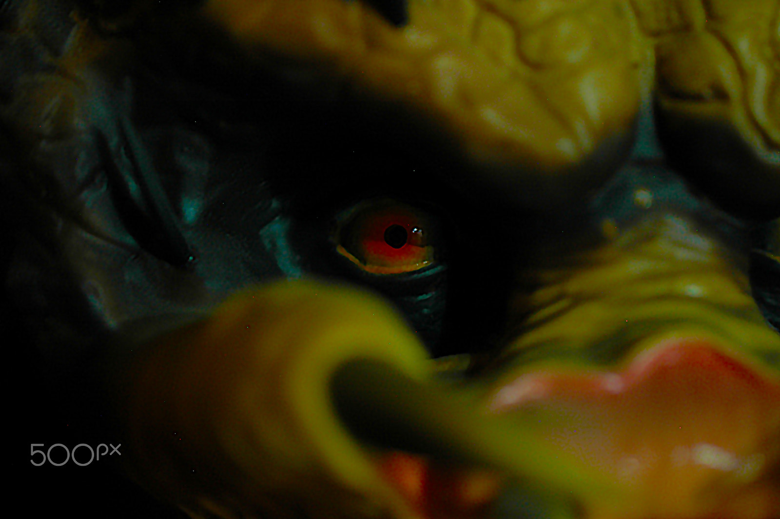 Nikon D70 sample photo. Predator photography