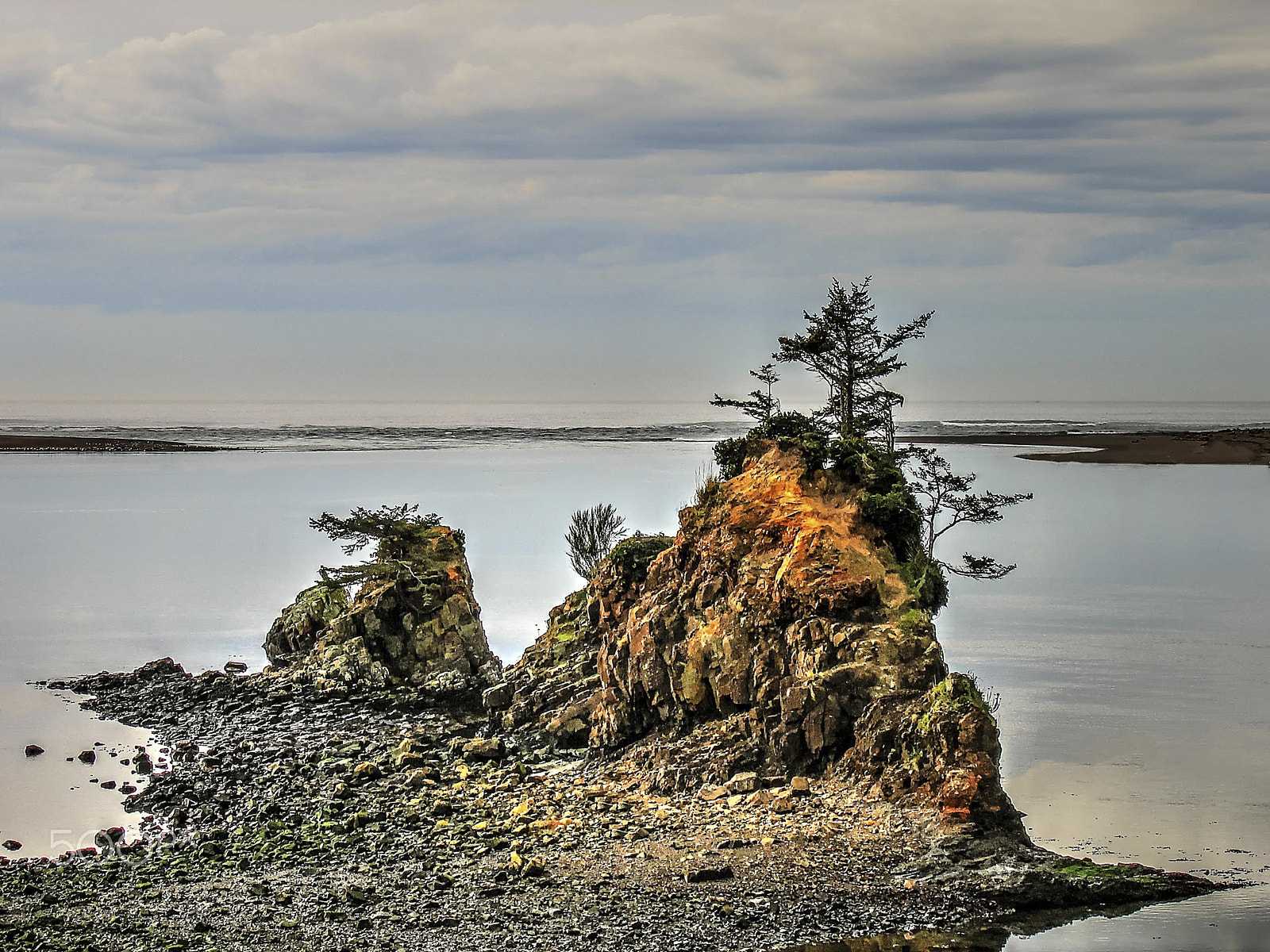 Canon POWERSHOT A95 sample photo. Oregon coast low tide photography