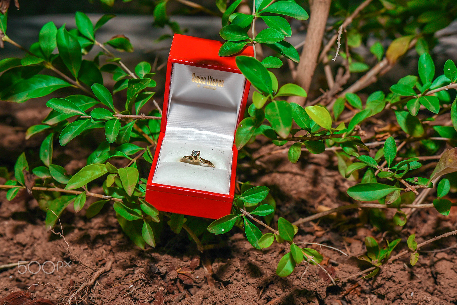 Nikon D750 + Sigma 18-35mm F1.8 DC HSM Art sample photo. The ring photography