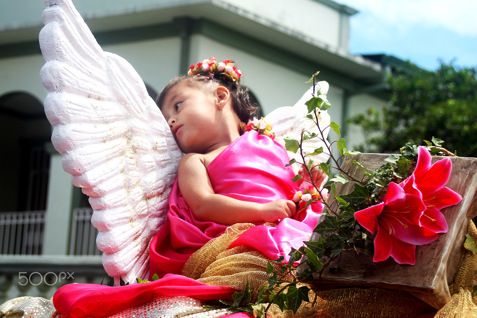 Canon EF 28-80mm f/3.5-5.6 USM IV sample photo. Angel 1 photography