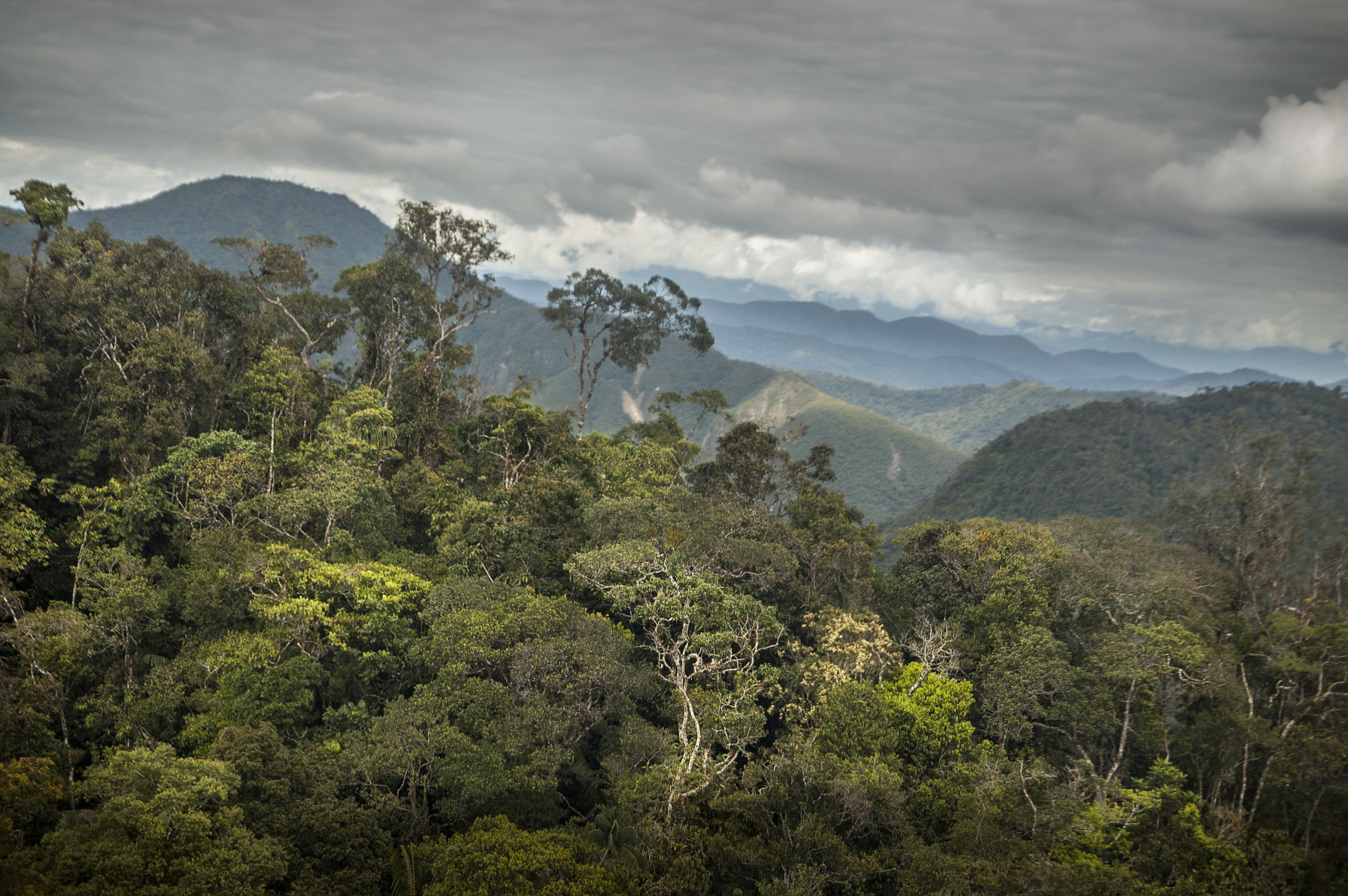 Nikon D50 + Sigma 18-50mm F3.5-5.6 DC sample photo. Alta amazonia.jpg photography