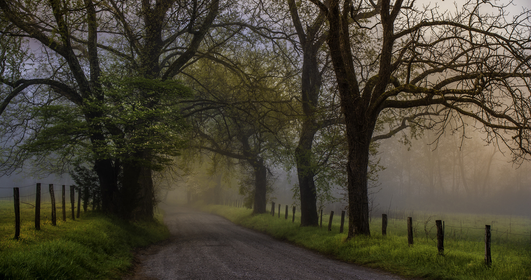 Canon EF 28-80mm f/2.8-4L sample photo. Sparks in the morning photography