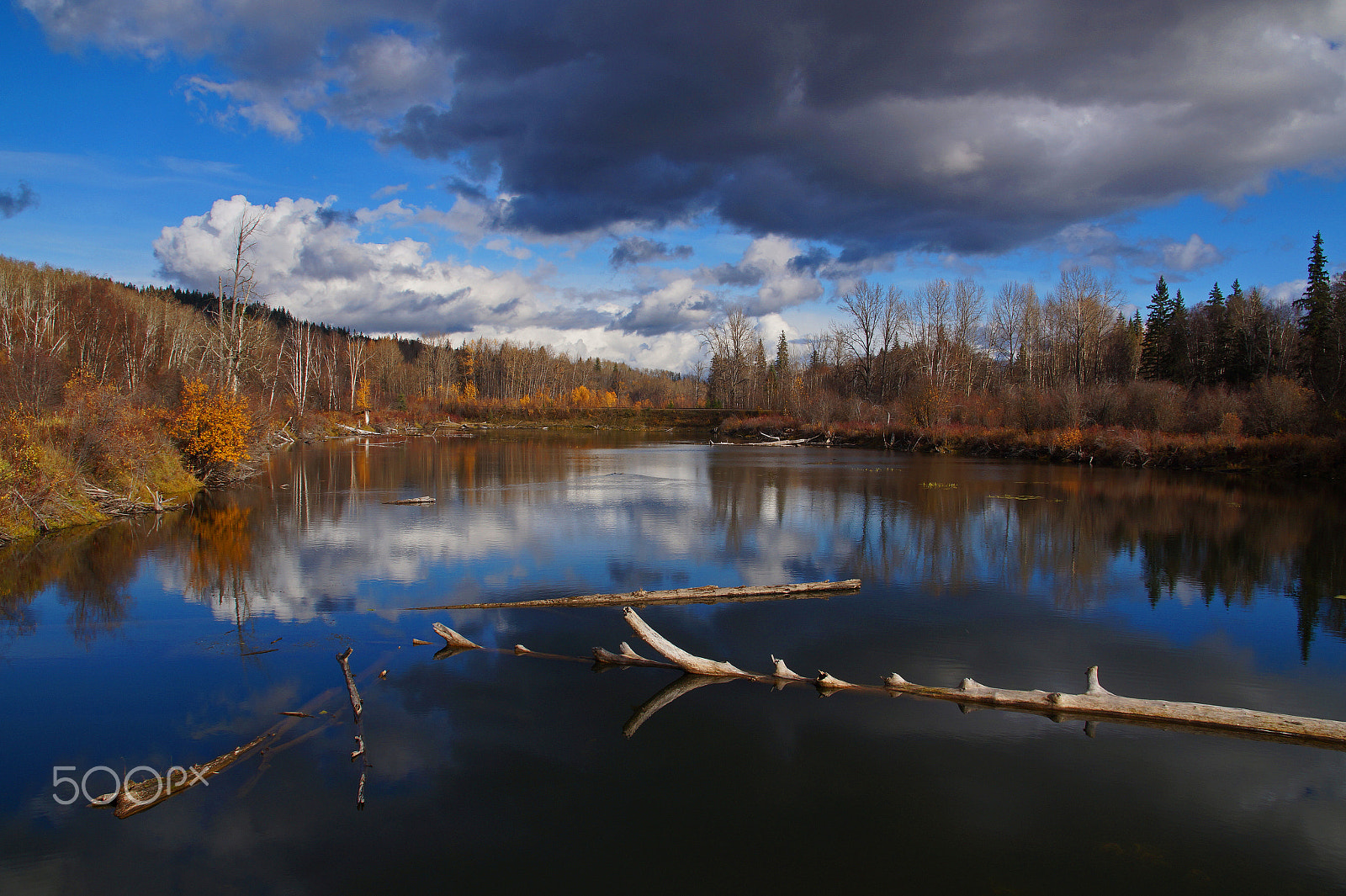 Sony SLT-A58 + Sigma 17-70mm F2.8-4 DC Macro HSM sample photo. Oxbow photography