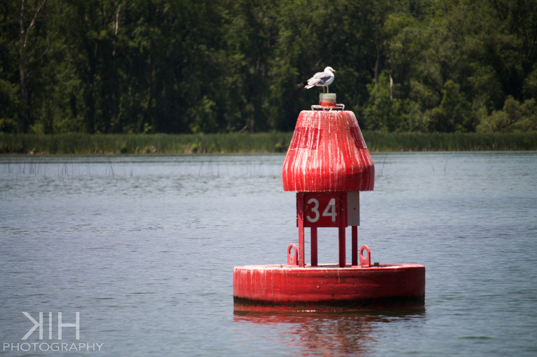 Canon EF-S 55-250mm F4-5.6 IS STM sample photo. 34.jpg photography