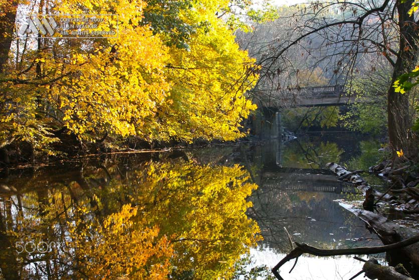 Canon EOS 30D + Canon EF 24-105mm F4L IS USM sample photo. Pennypack creek photography