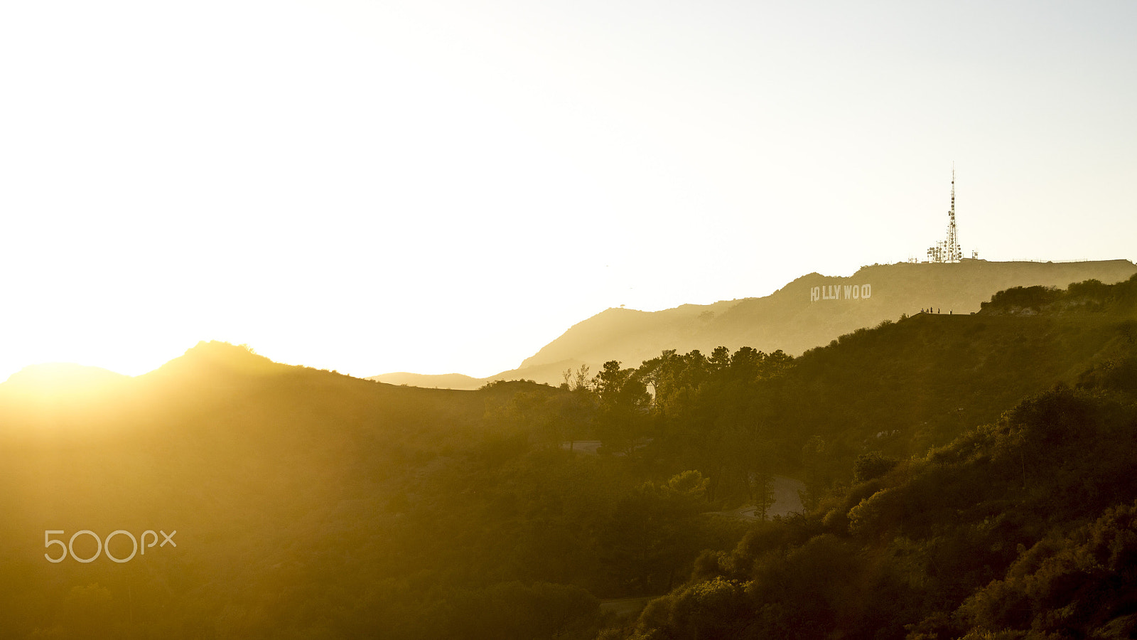 Canon EF 24-70mm F2.8L II USM sample photo. Sunset on hollywood photography