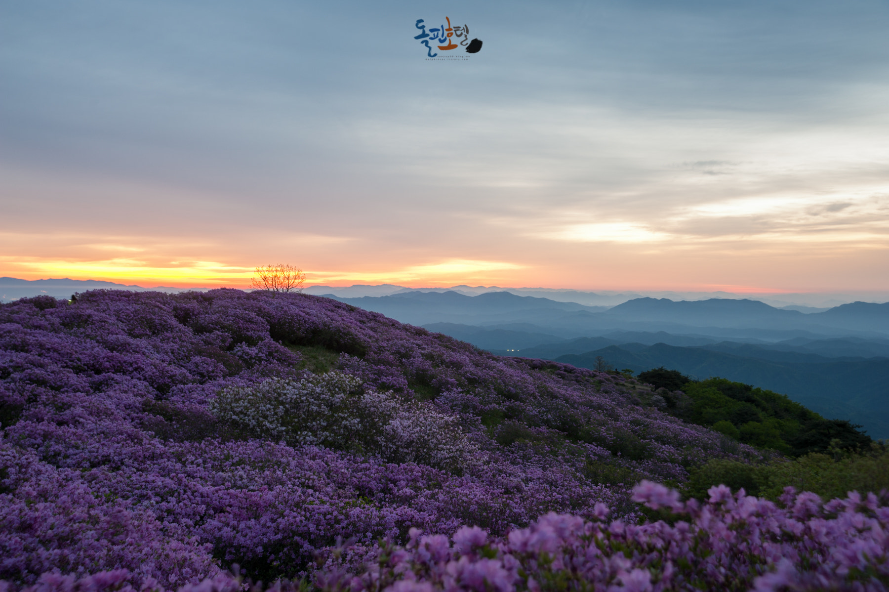 AF Zoom-Nikkor 24-120mm f/3.5-5.6D IF sample photo
