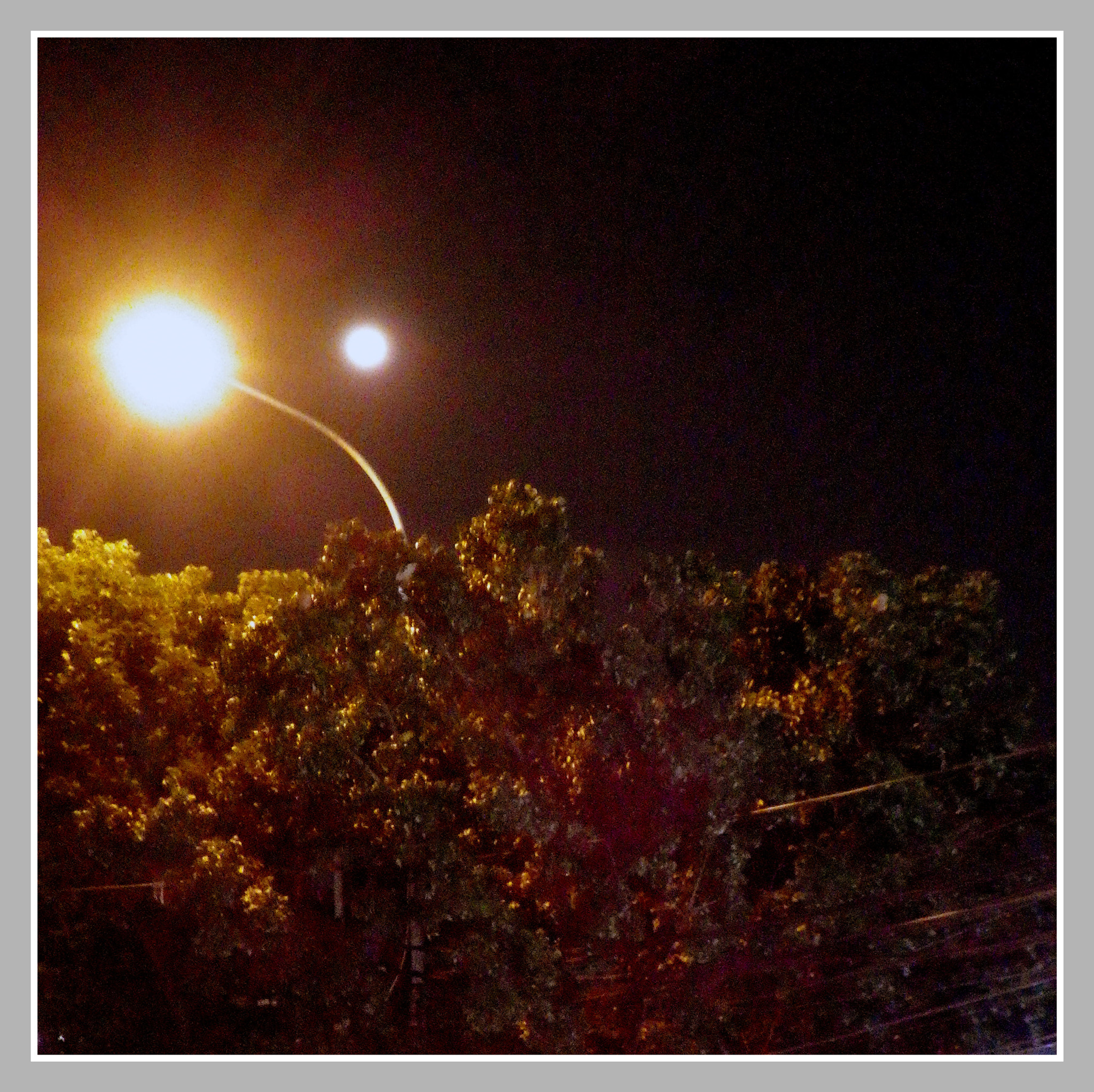 Ricoh WG-4 sample photo. Full moon and street lamp photography