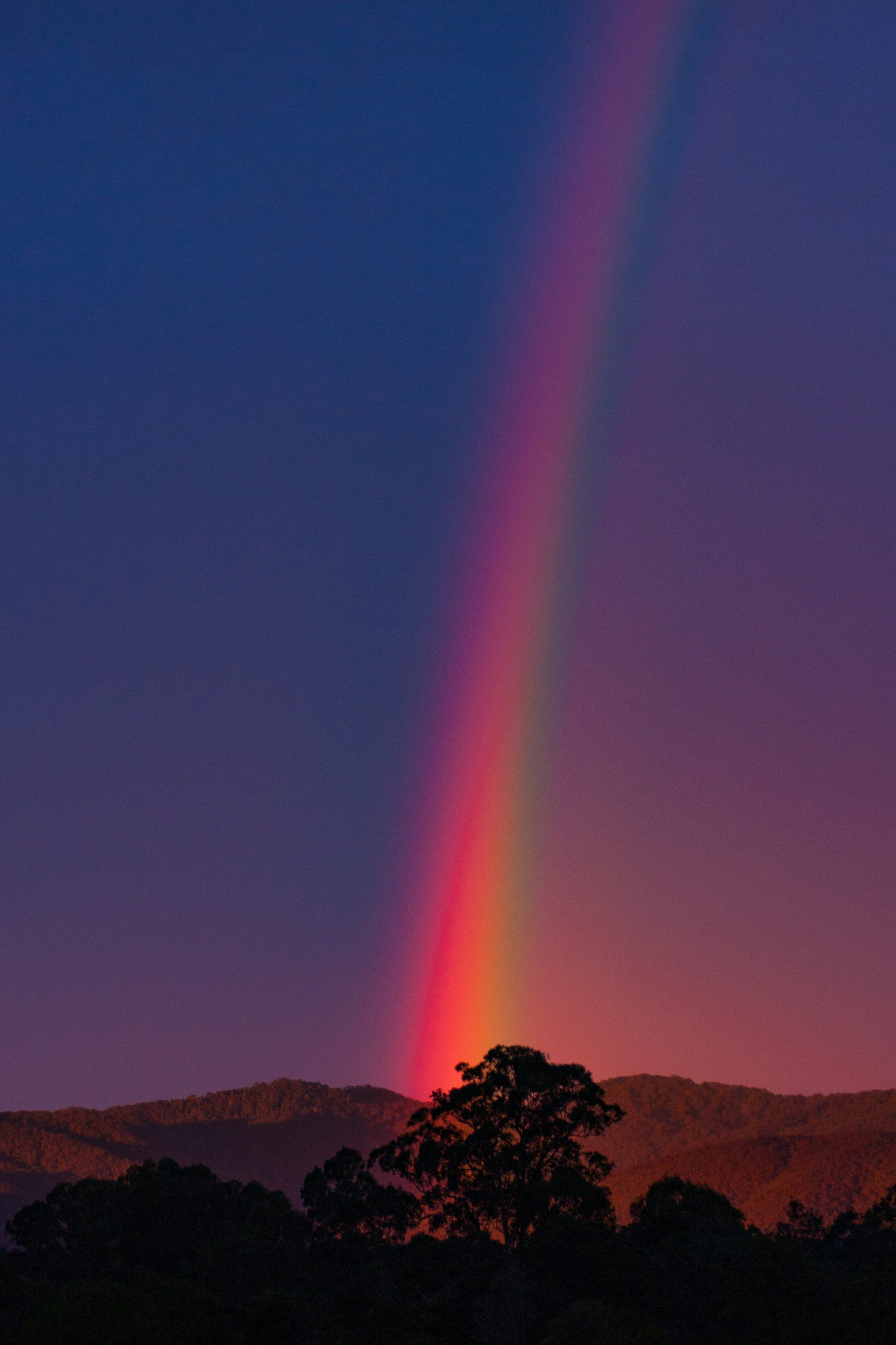 Canon EOS 40D + EF75-300mm f/4-5.6 sample photo. Rainbow dreaming photography
