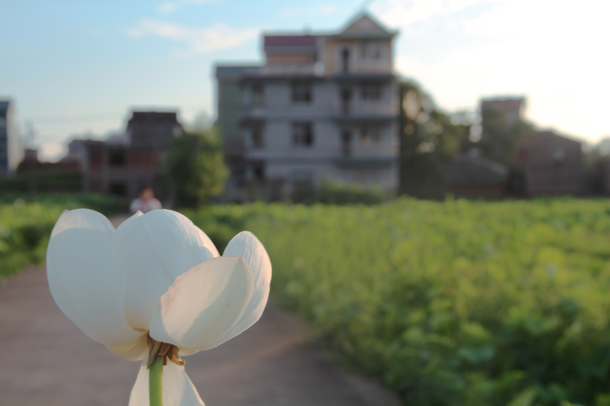 Canon EOS 700D (EOS Rebel T5i / EOS Kiss X7i) sample photo. 9.jpg photography