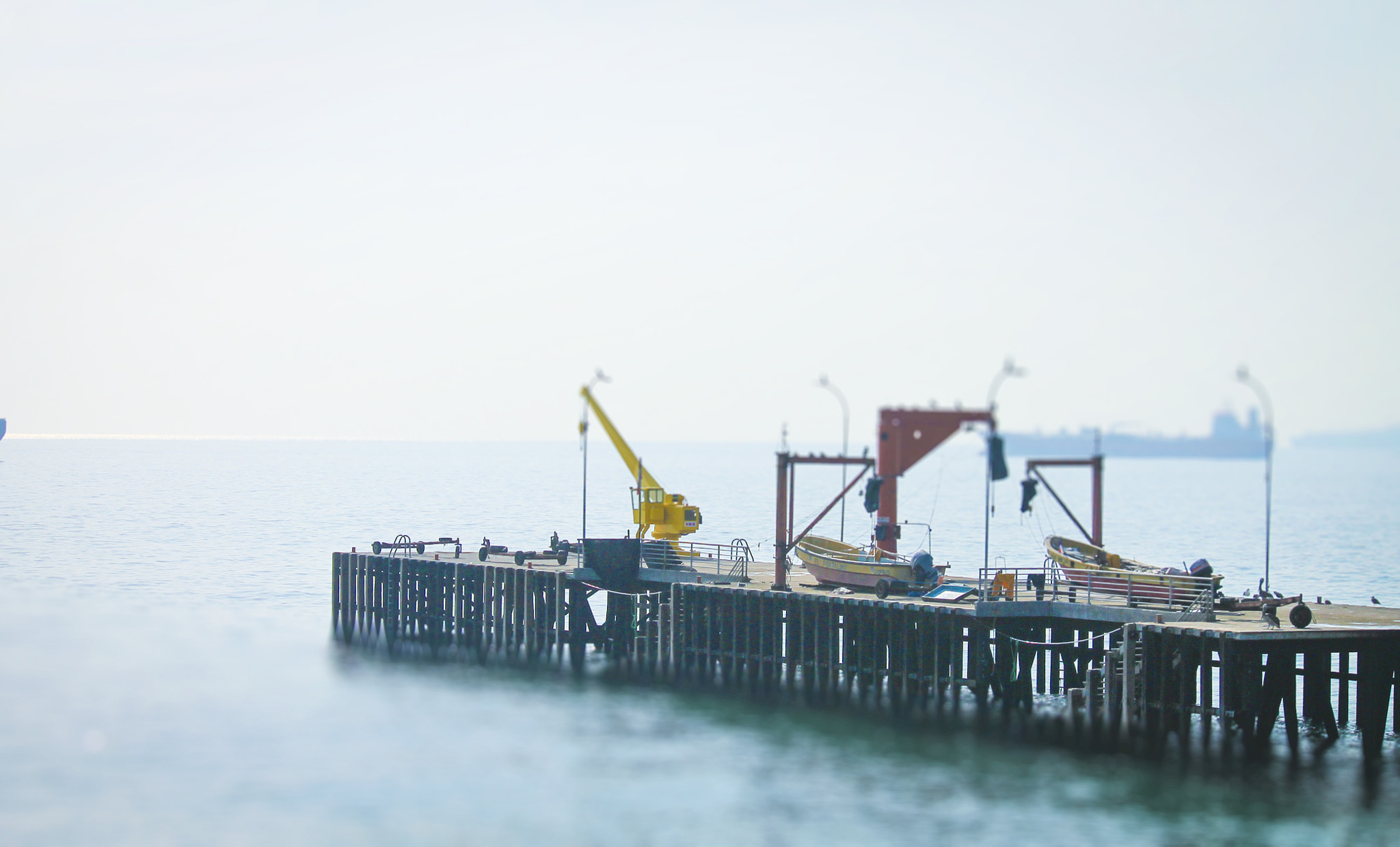 Canon EF-S 55-250mm F4-5.6 IS sample photo. Caleta photography