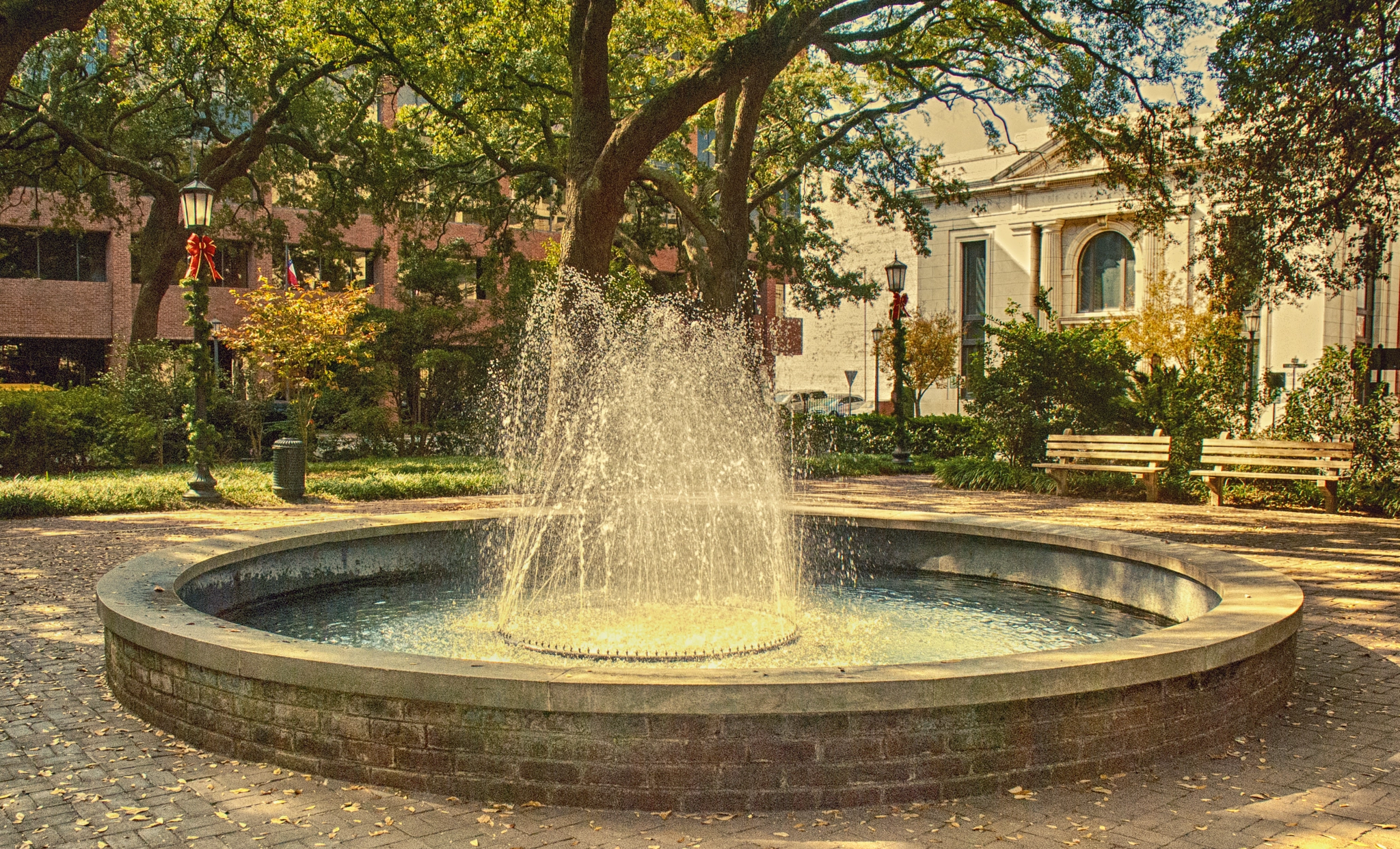Nikon D3000 sample photo. Park in savannah, ga photography
