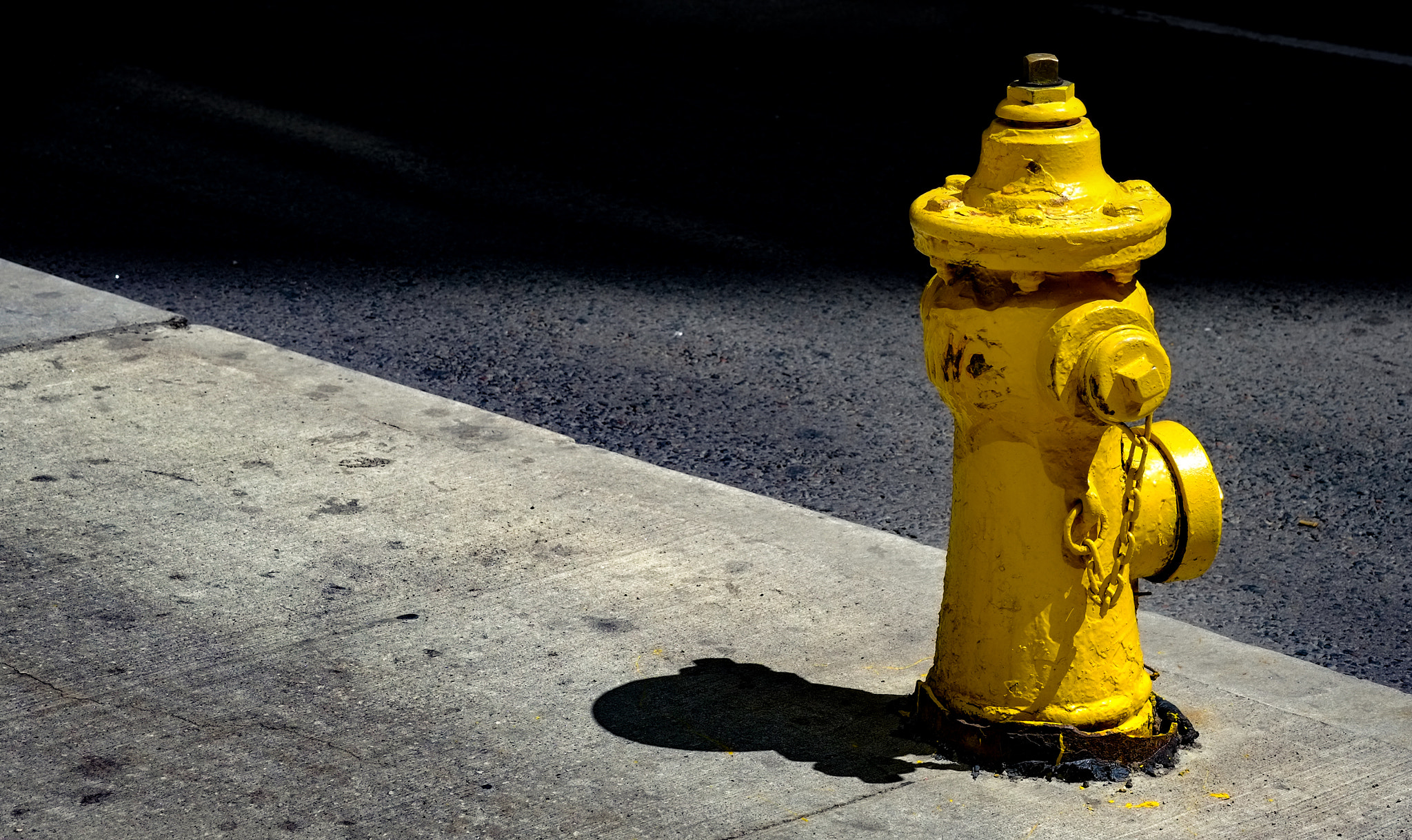 Fujifilm X-E1 + Fujifilm XF 60mm F2.4 R Macro sample photo. Yellow photography