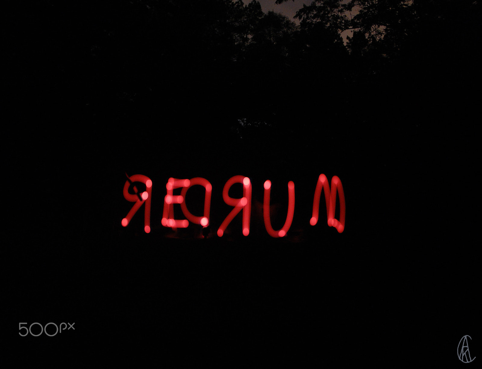 Nikon D40 sample photo. Redrum photography