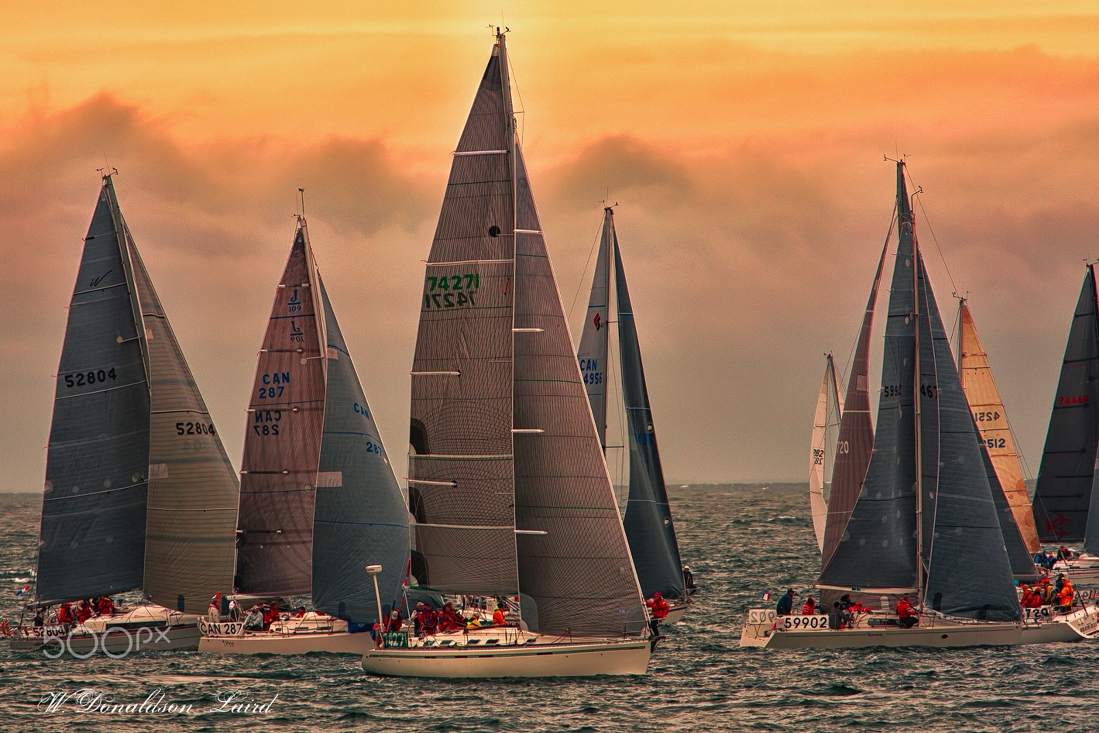 Canon EOS-1D Mark III + Canon EF 500mm F4L IS USM sample photo. Sails at sunset photography