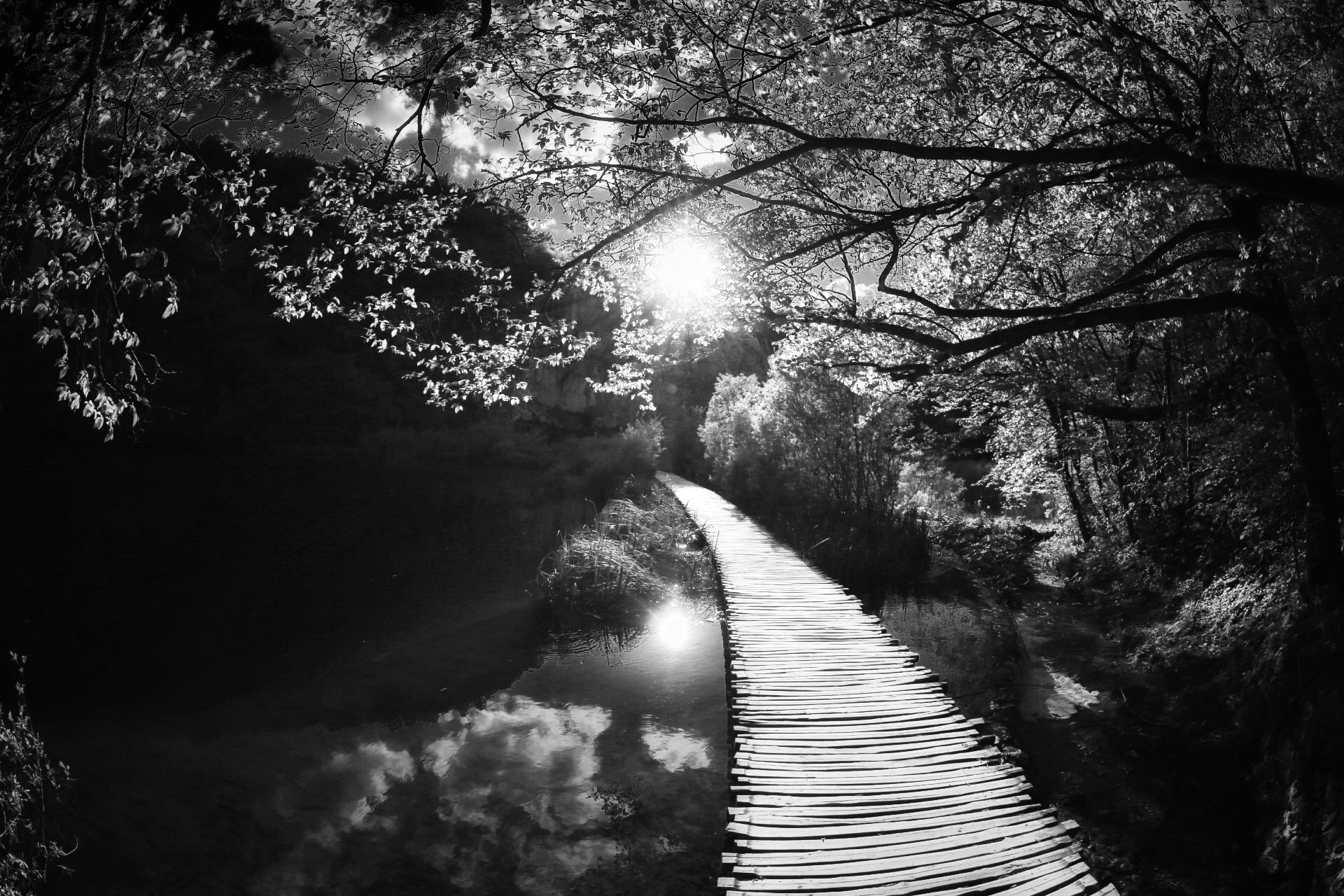 Canon EF 8-15mm F4L Fisheye USM sample photo. Into the sun photography