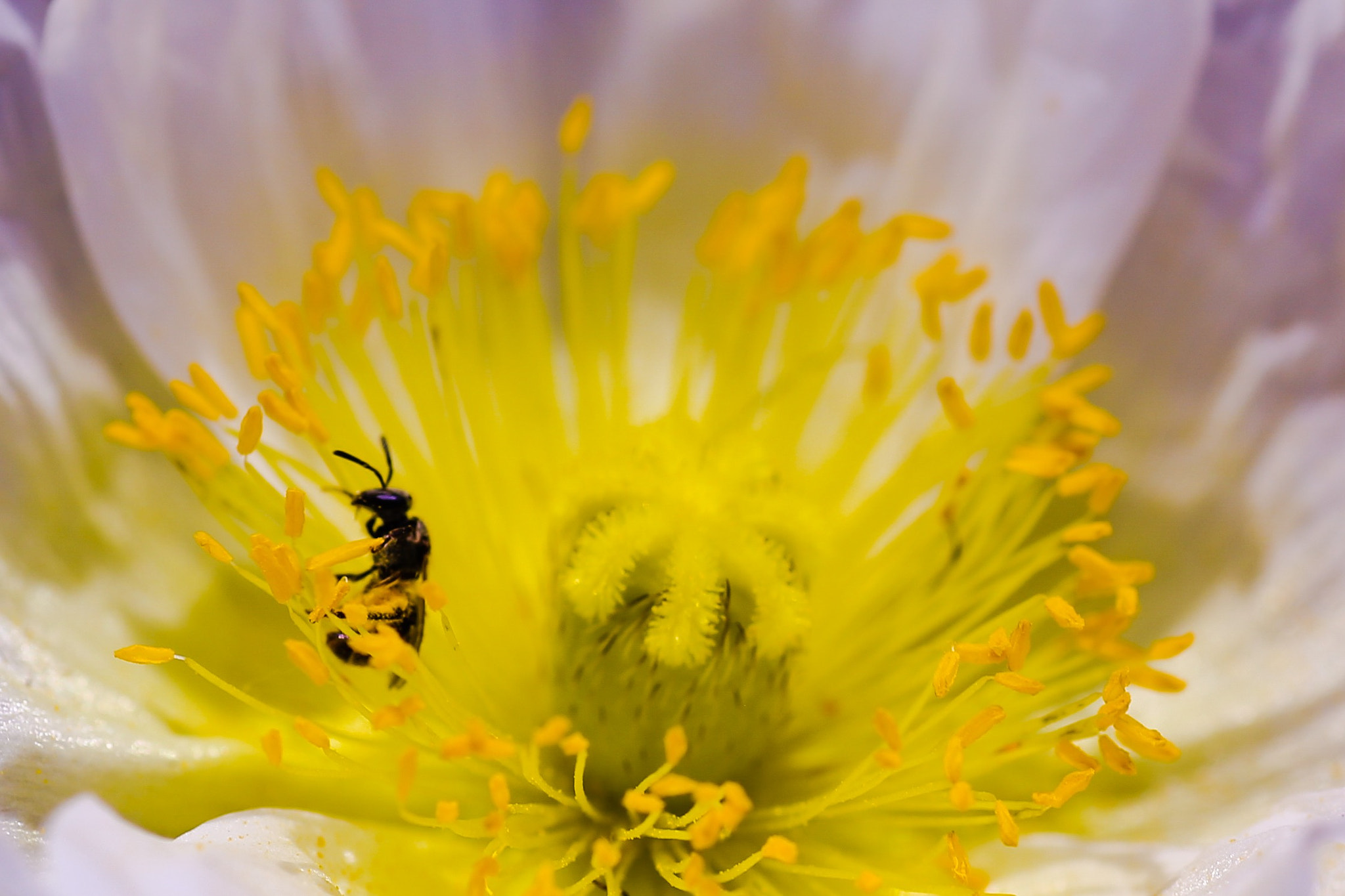Canon 90mm sample photo. My life seems to be yellowing a little bit more everyday photography