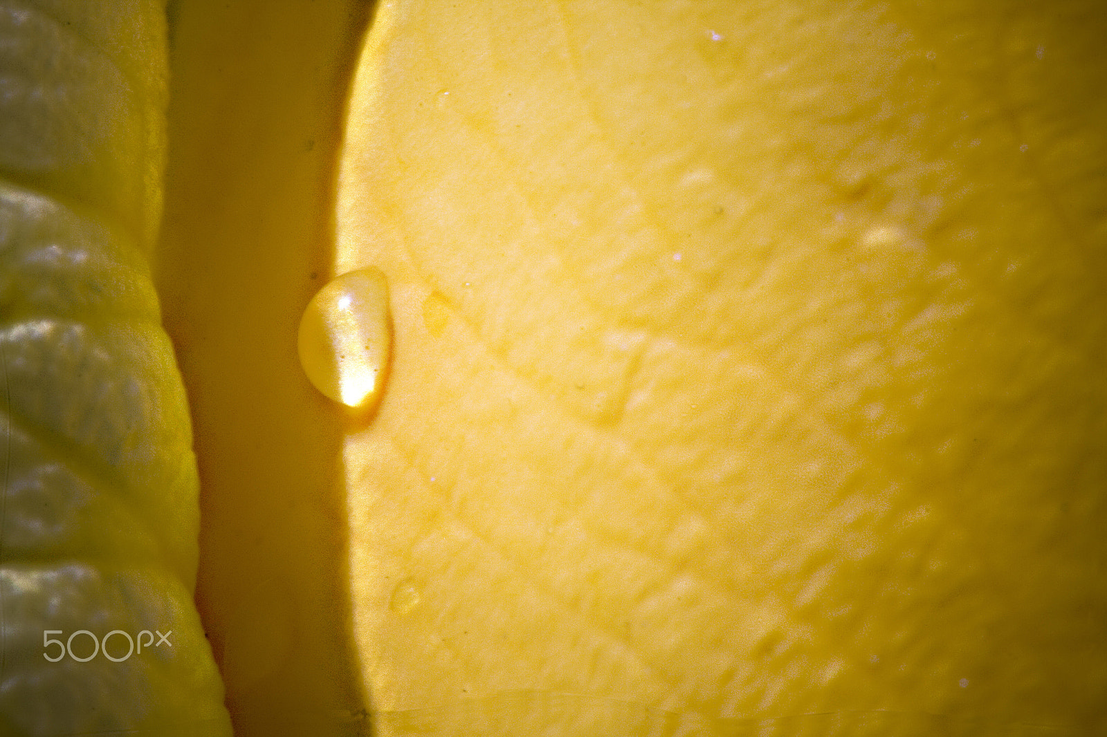 Canon EOS 40D sample photo. Just one drop photography