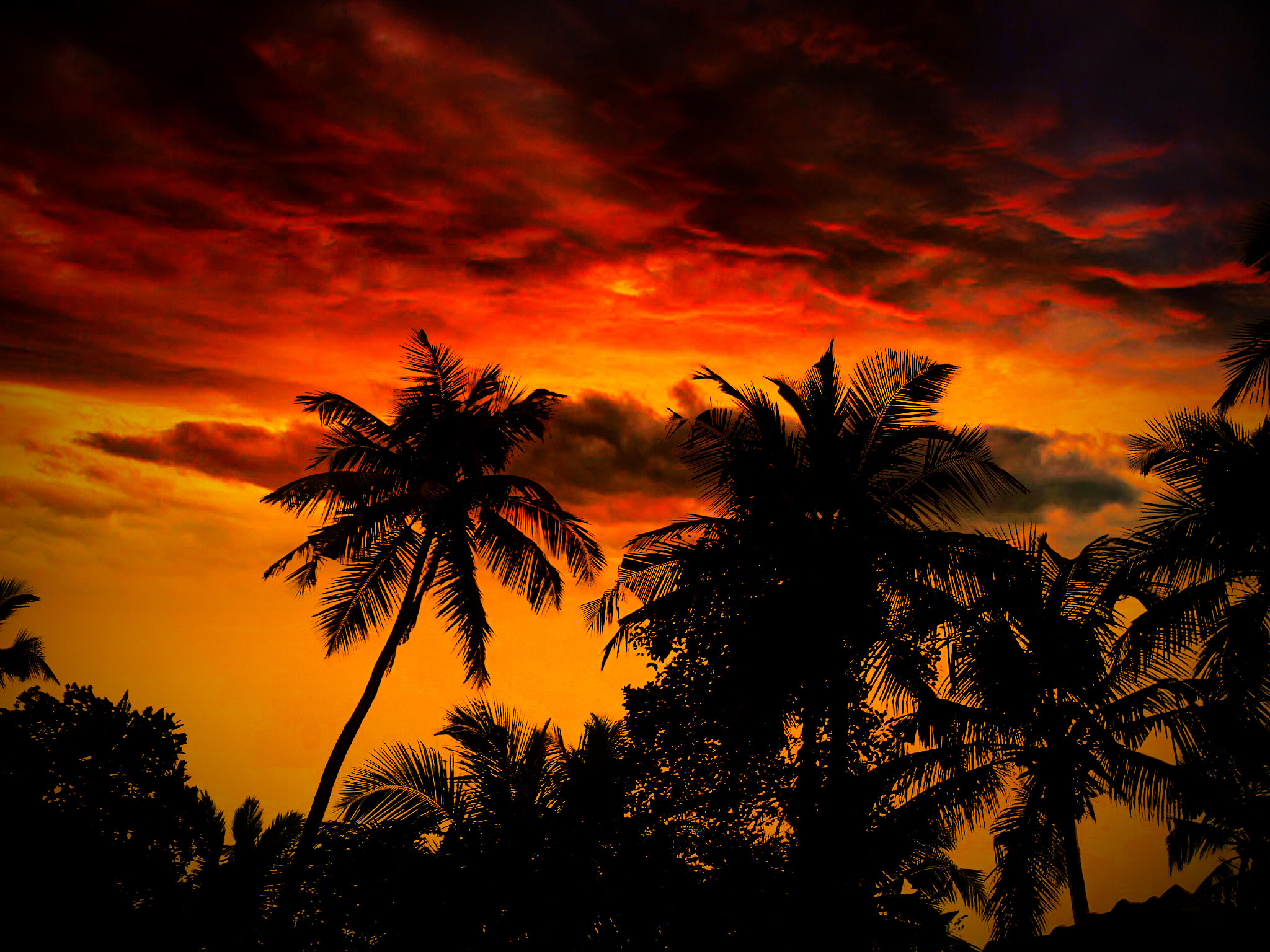 Micromax Canvas A1 sample photo. Sunset with sunshine photography