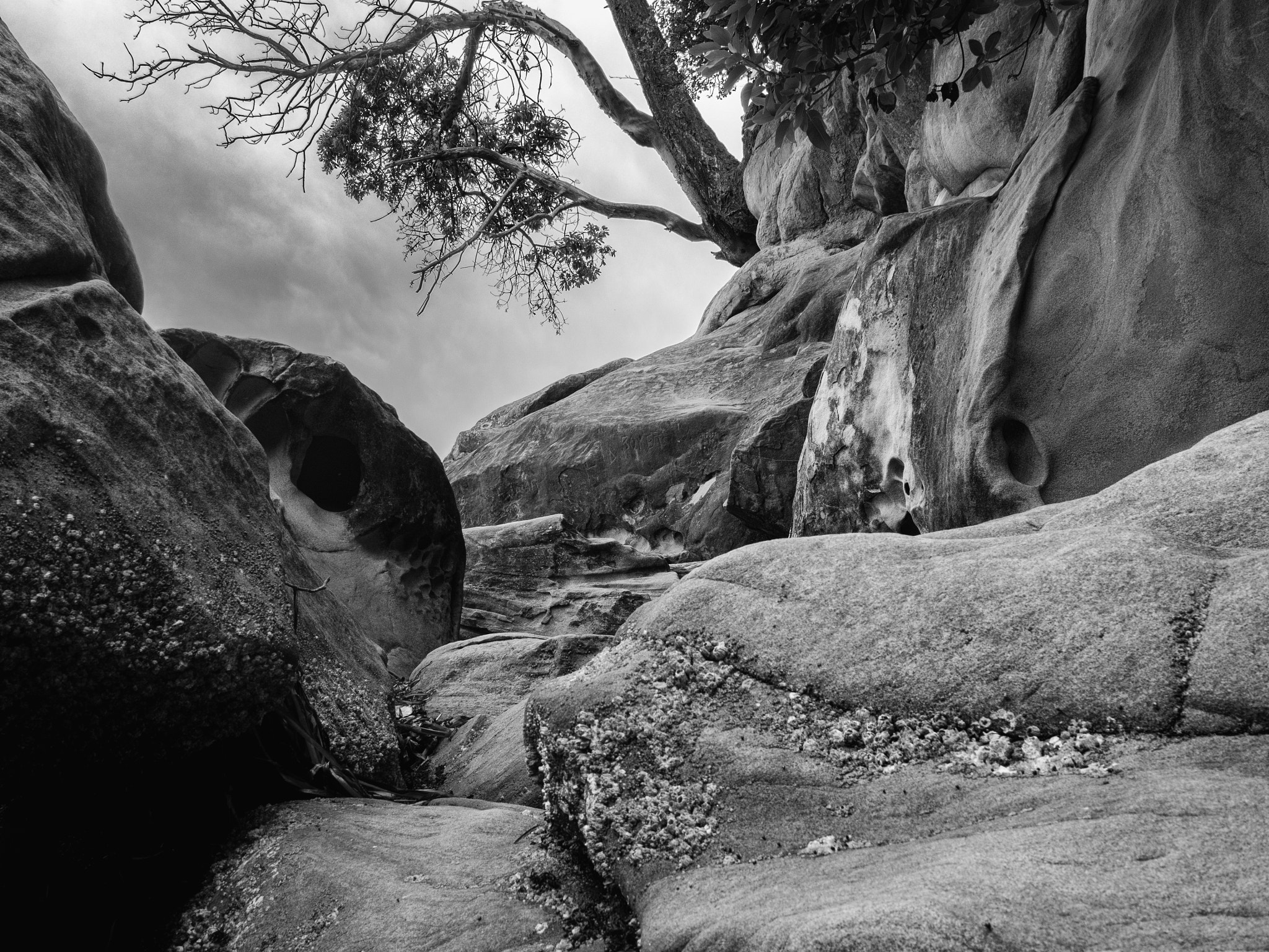 Olympus OM-D E-M5 II + Panasonic Lumix G 20mm F1.7 ASPH sample photo. Rocks at larribee st. park photography