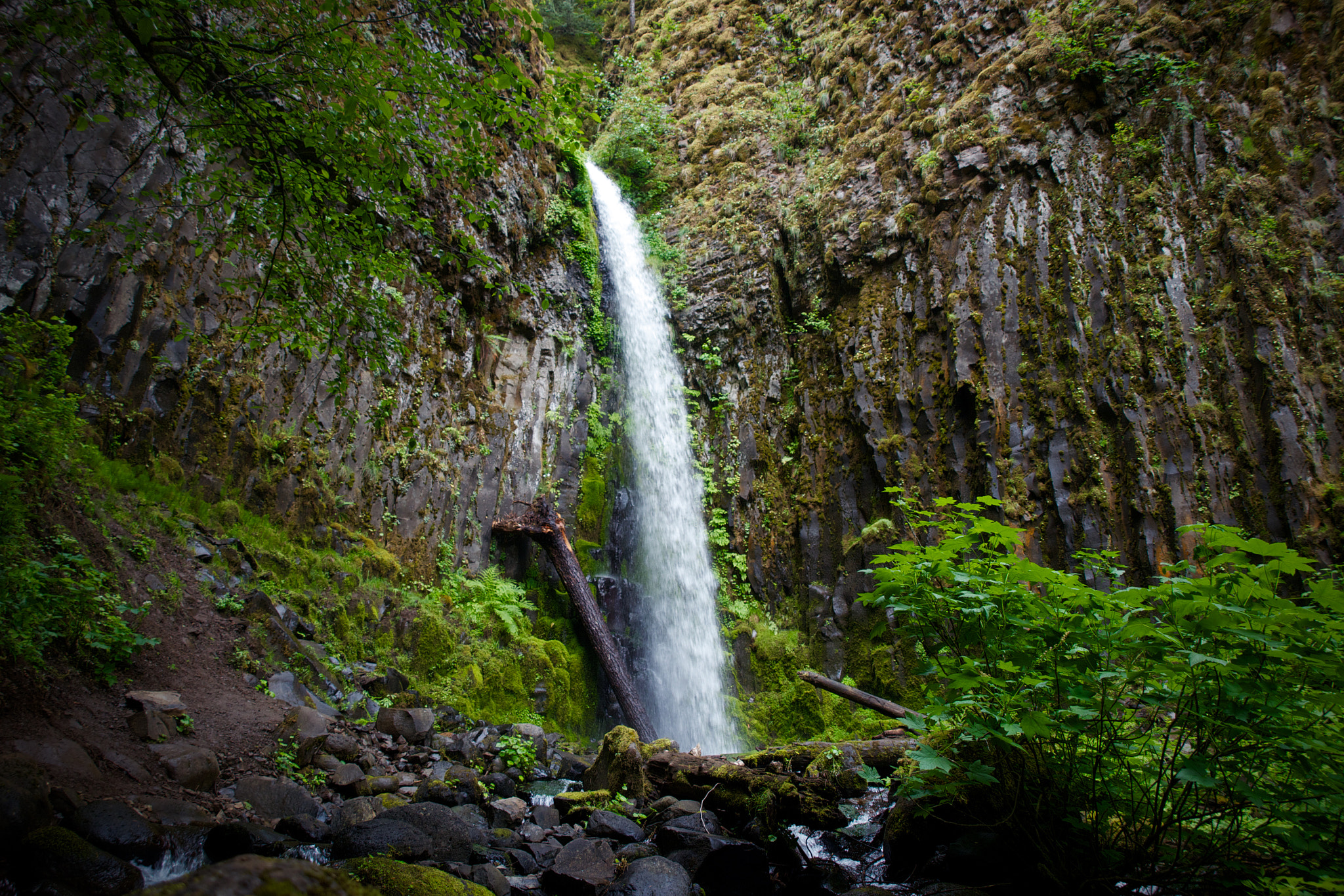 Panasonic Lumix DMC-GH2 + OLYMPUS DIGITAL 14-42mm Lens sample photo. Dry creek falls photography